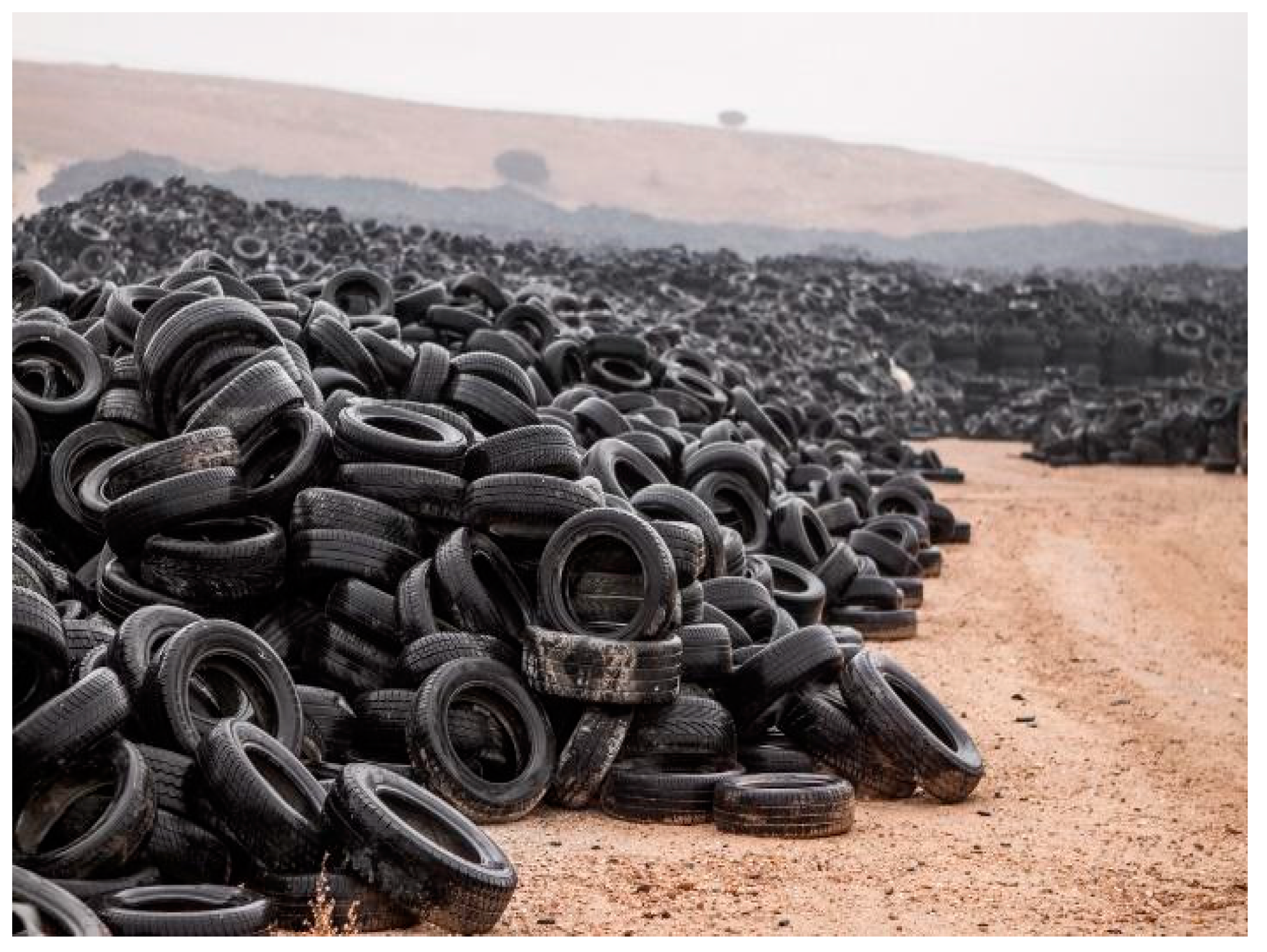 Sustainability 16 03852 g001