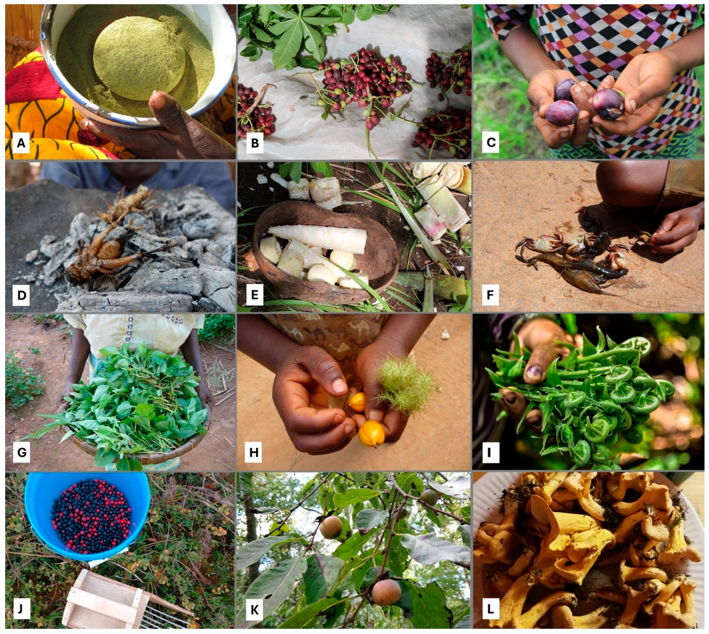 Sustainability 16 03890 g001