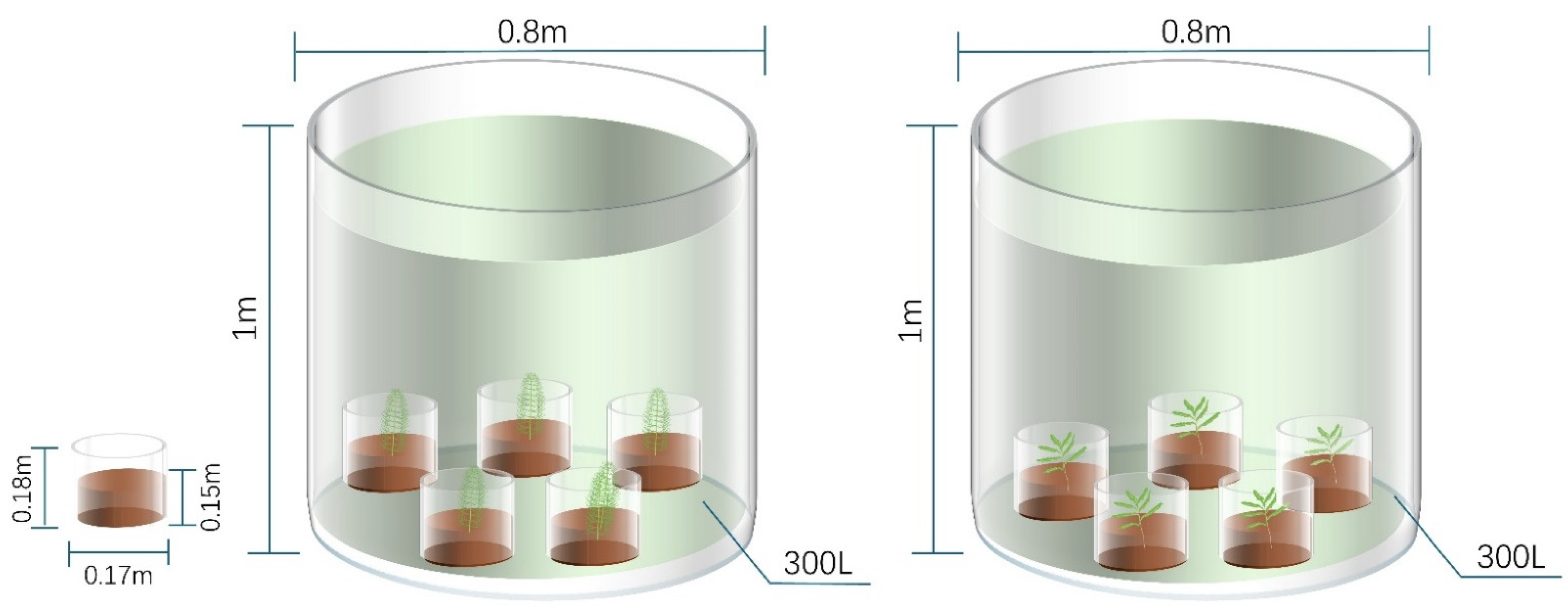 Sustainability 16 04200 g001 Sustainability 16 04200 g001