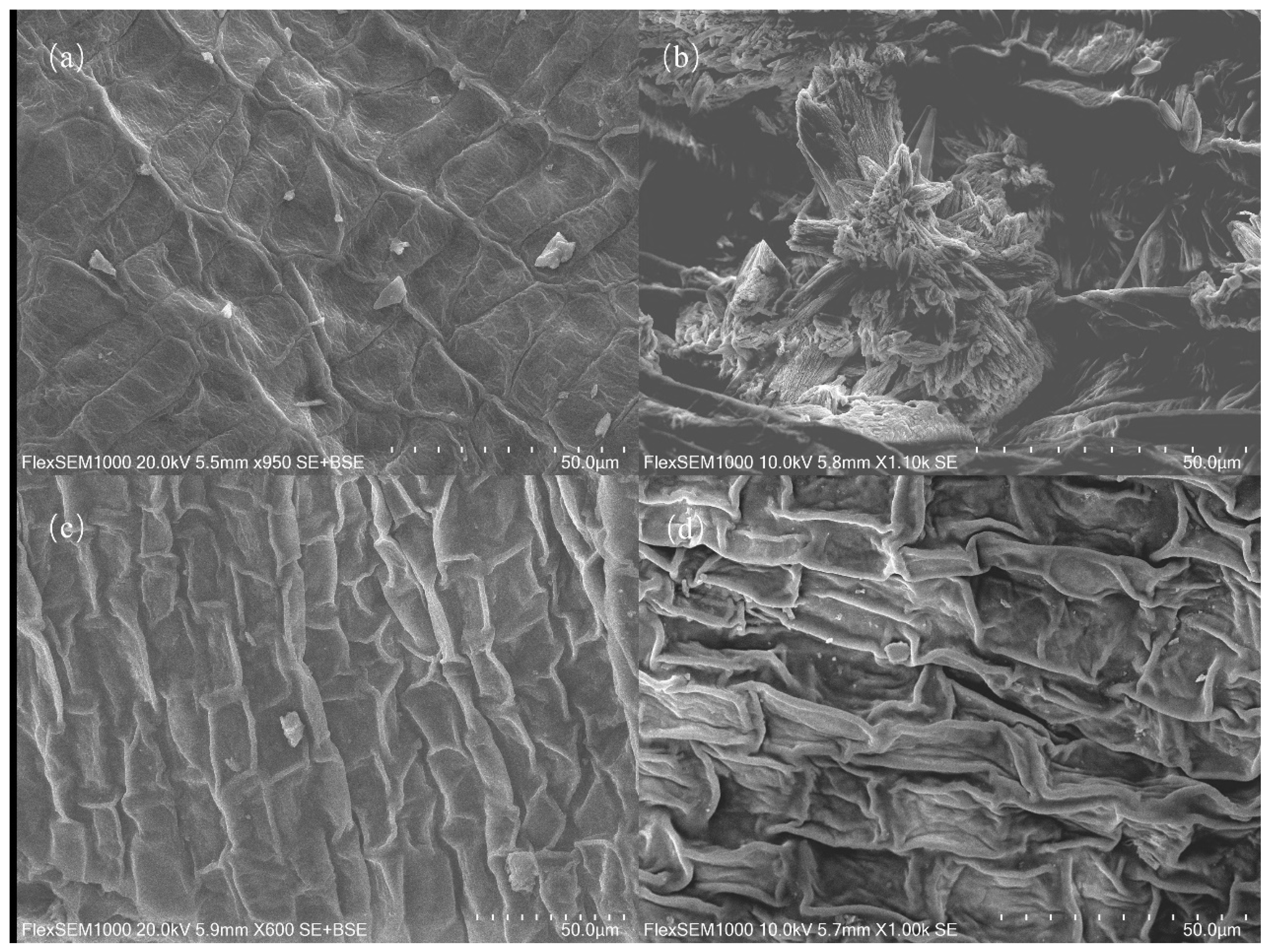 Sustainability 16 04200 g005 Sustainability 16 04200 g005