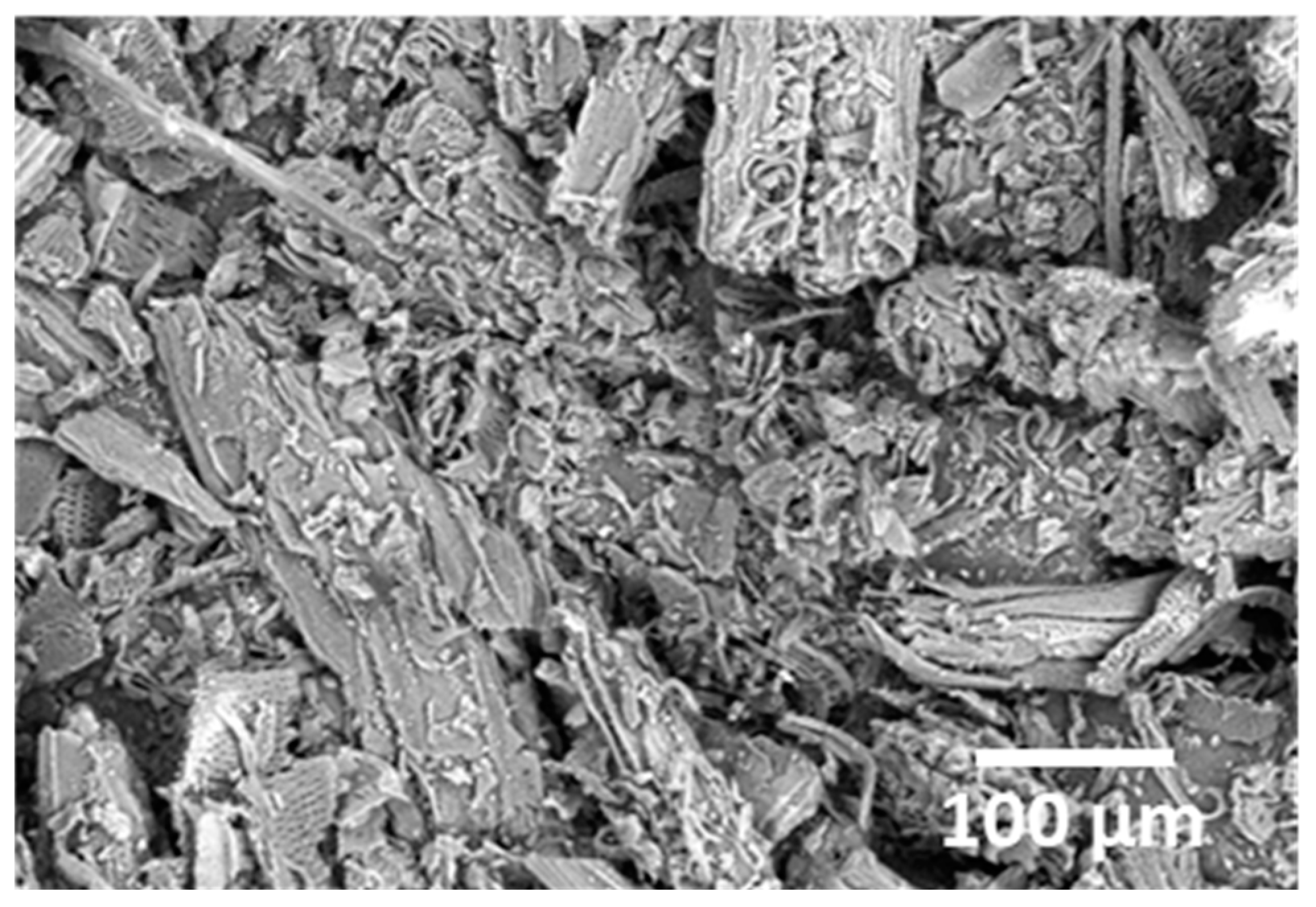 Sustainability 16 04291 g007 Sustainability 16 04291 g007