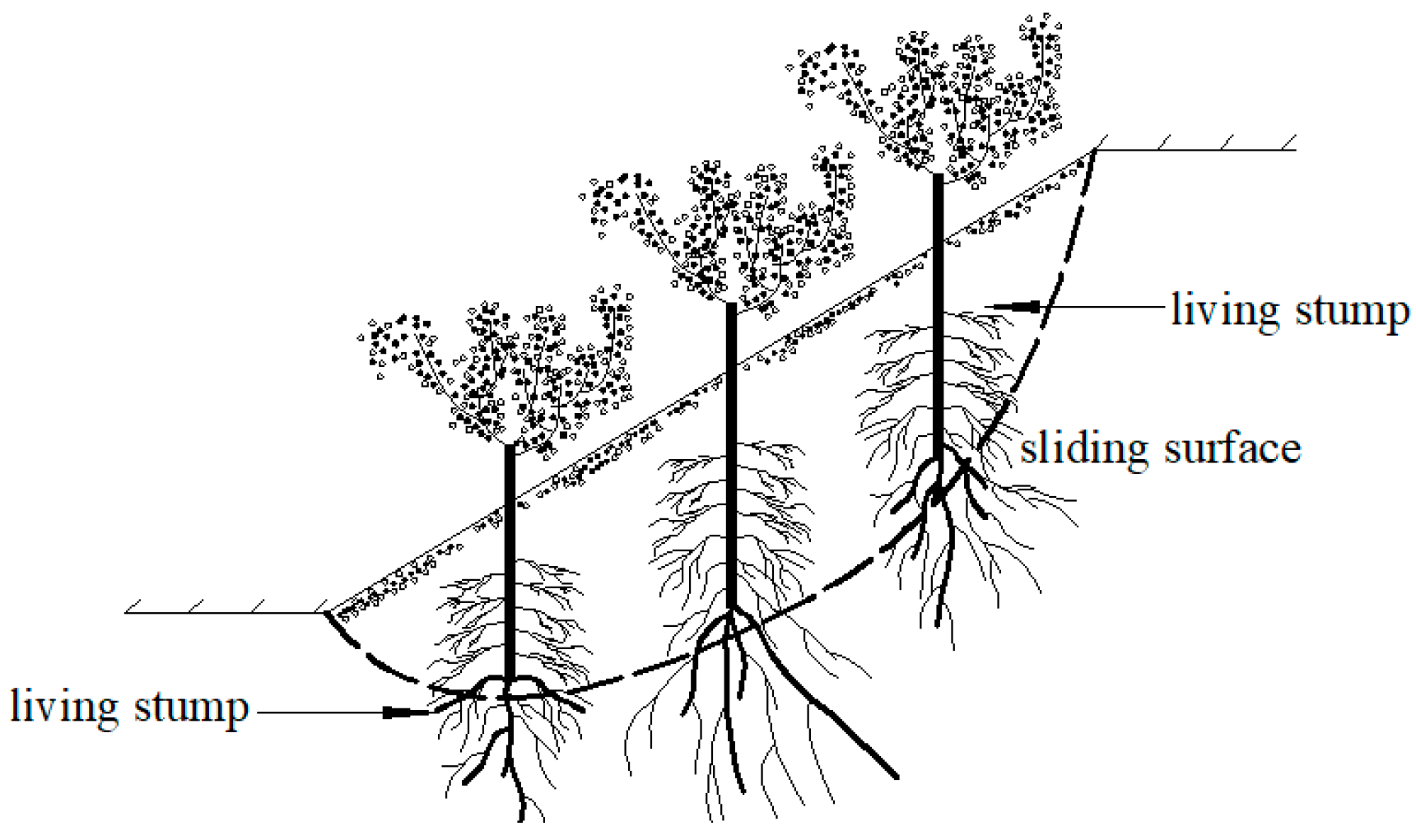 Sustainability 16 04294 g001