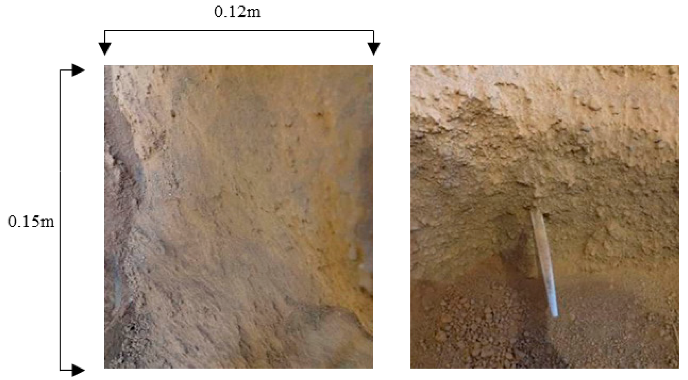 Sustainability 16 04294 g012