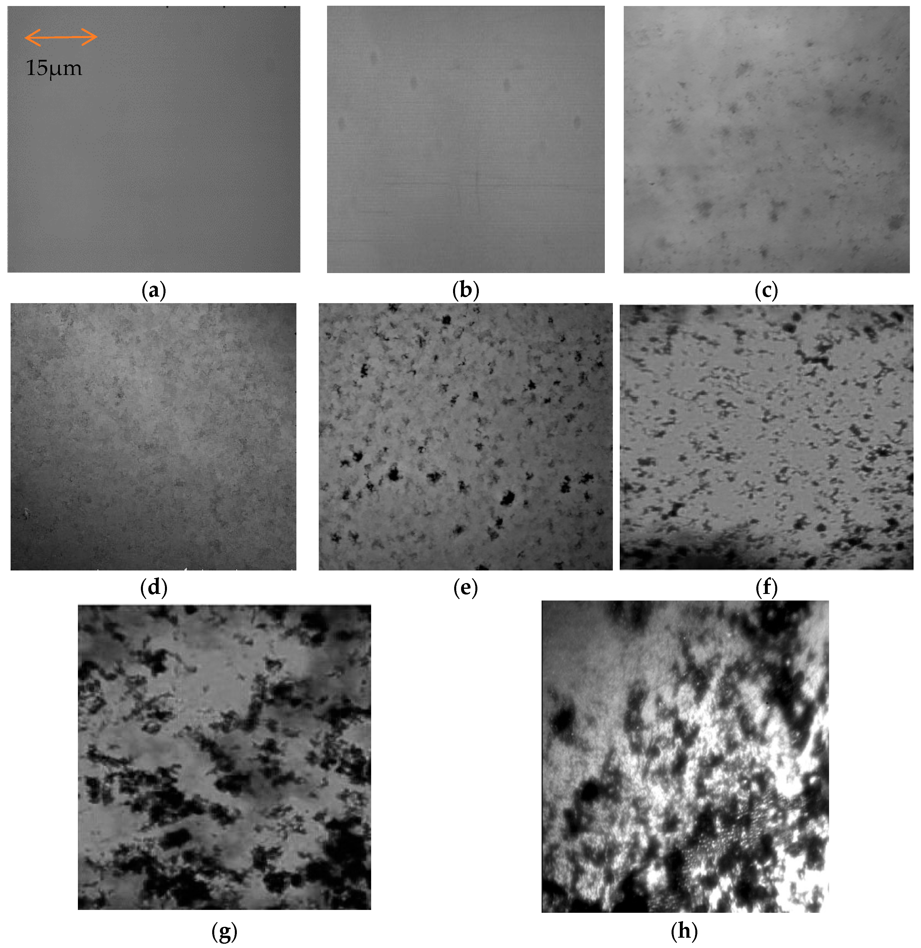 Sustainability 16 04303 g003