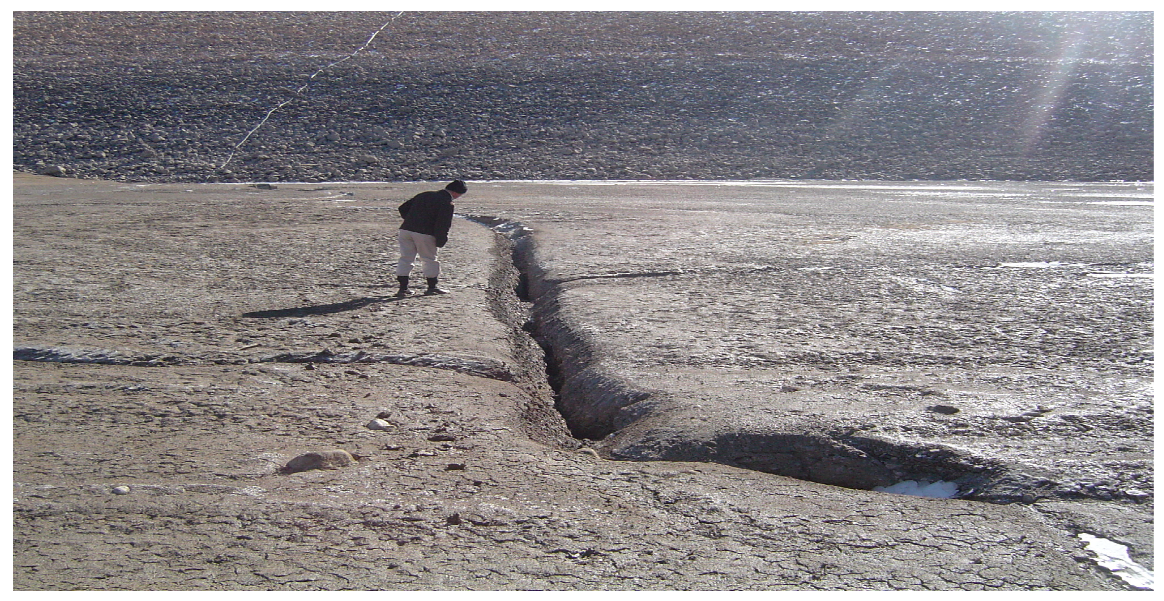 Sustainability 16 04335 g003