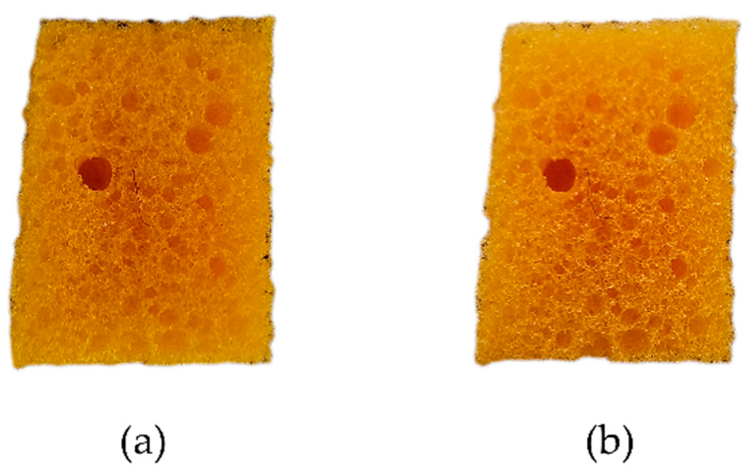 Sustainability 16 04375 g003