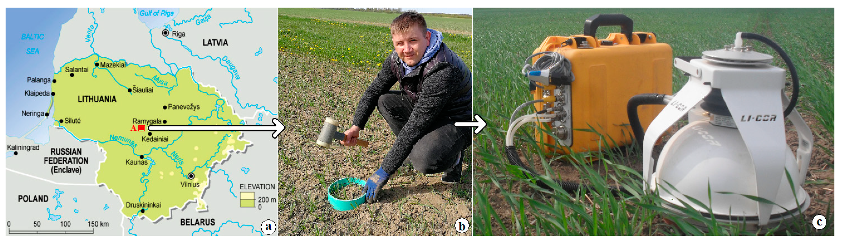 Sustainability 16 04391 g001 Sustainability 16 04391 g001