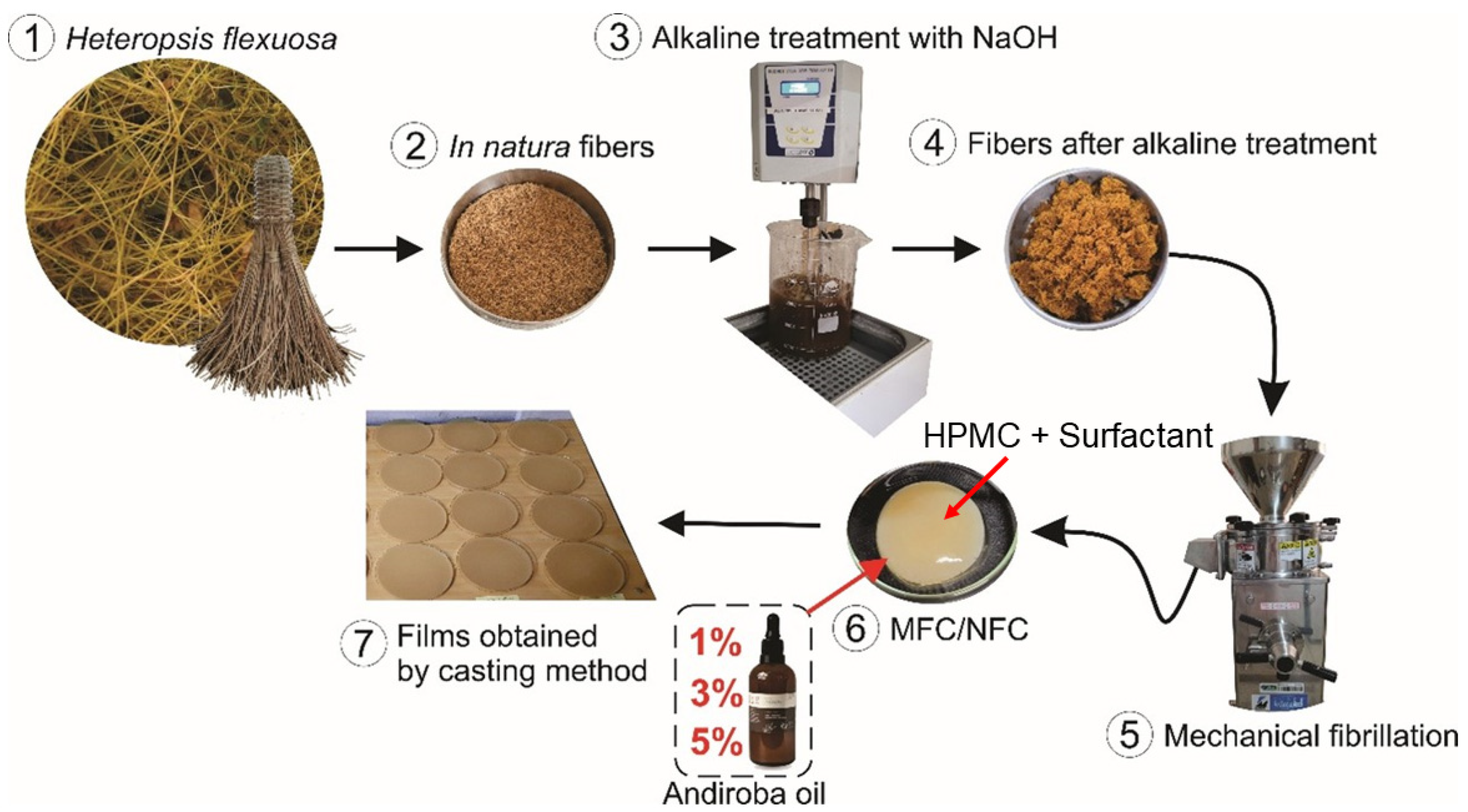 Sustainability 16 04395 g001