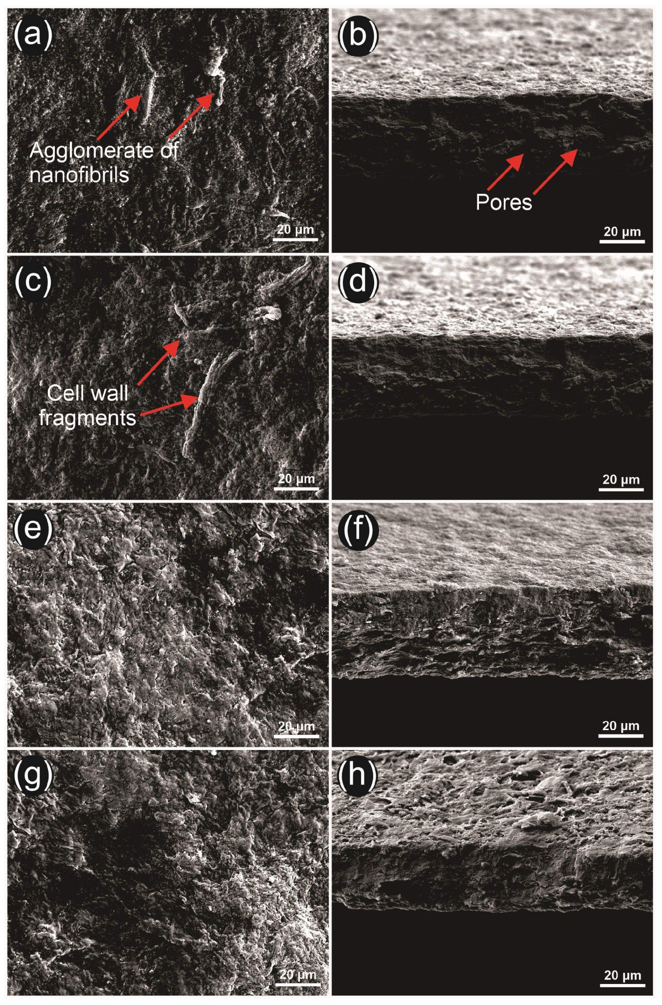 Sustainability 16 04395 g008