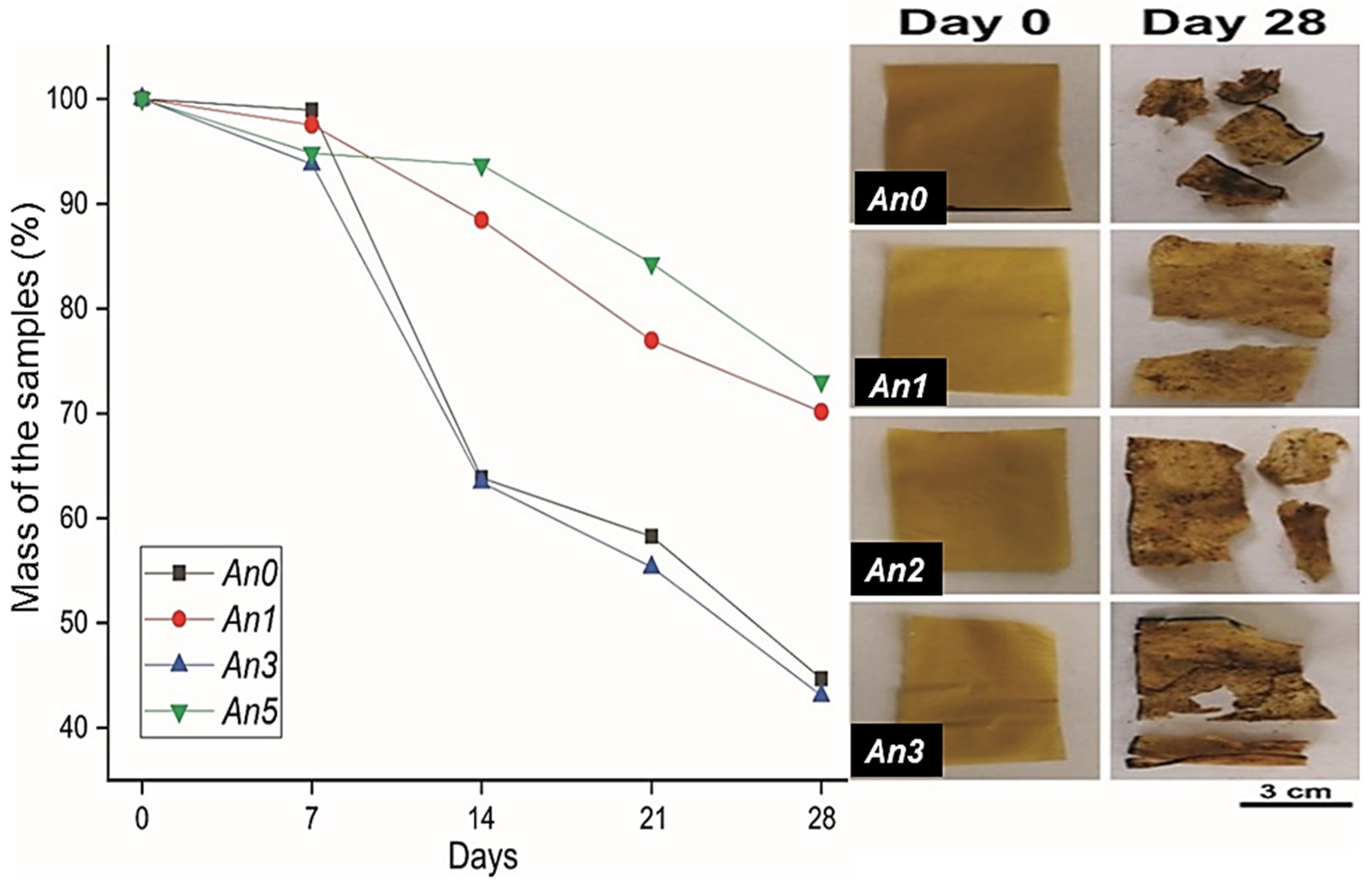 Sustainability 16 04395 g016