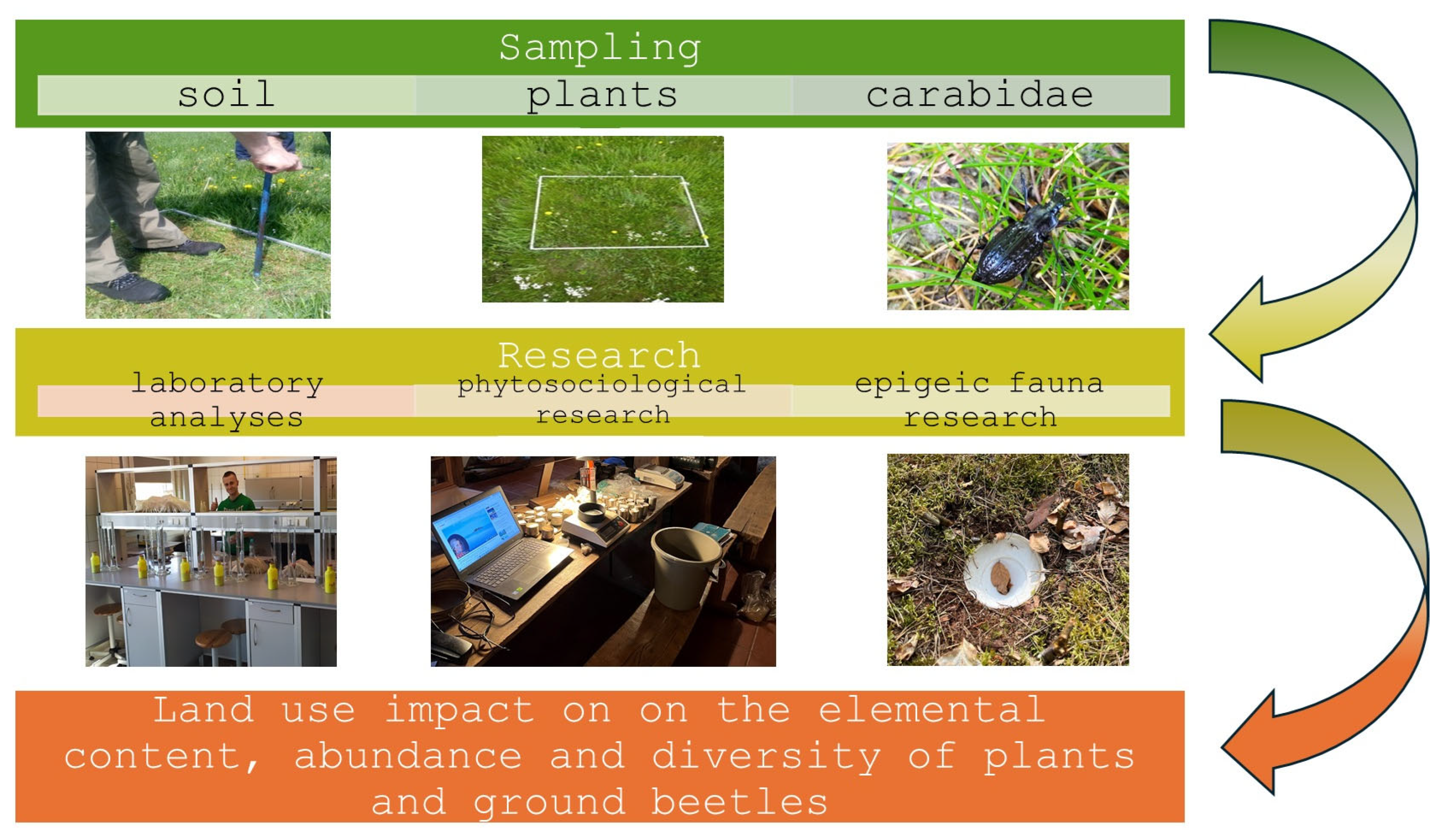Sustainability 16 04420 g002