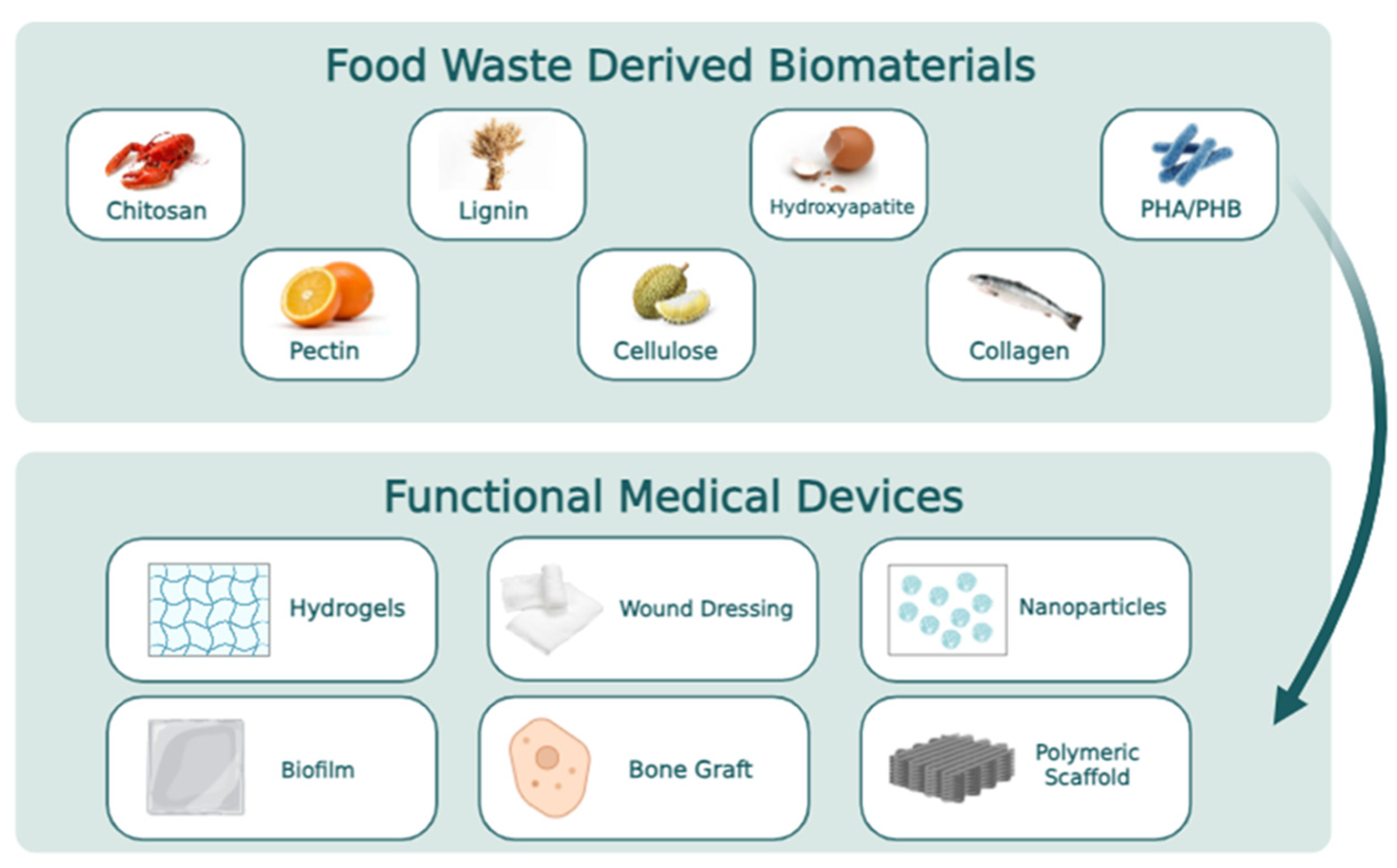 Sustainability 16 04473 g003