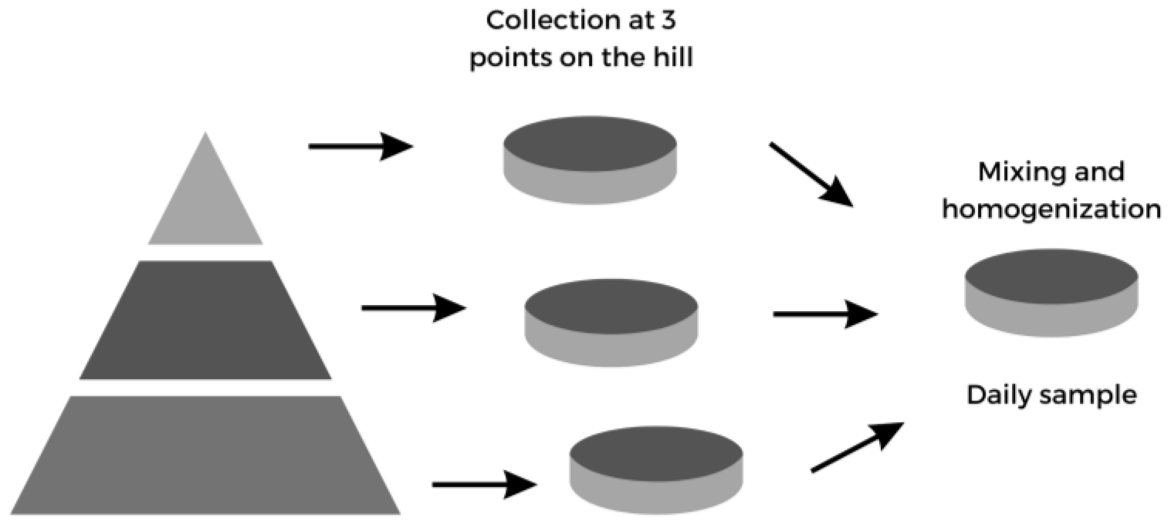 Sustainability 16 04505 g002