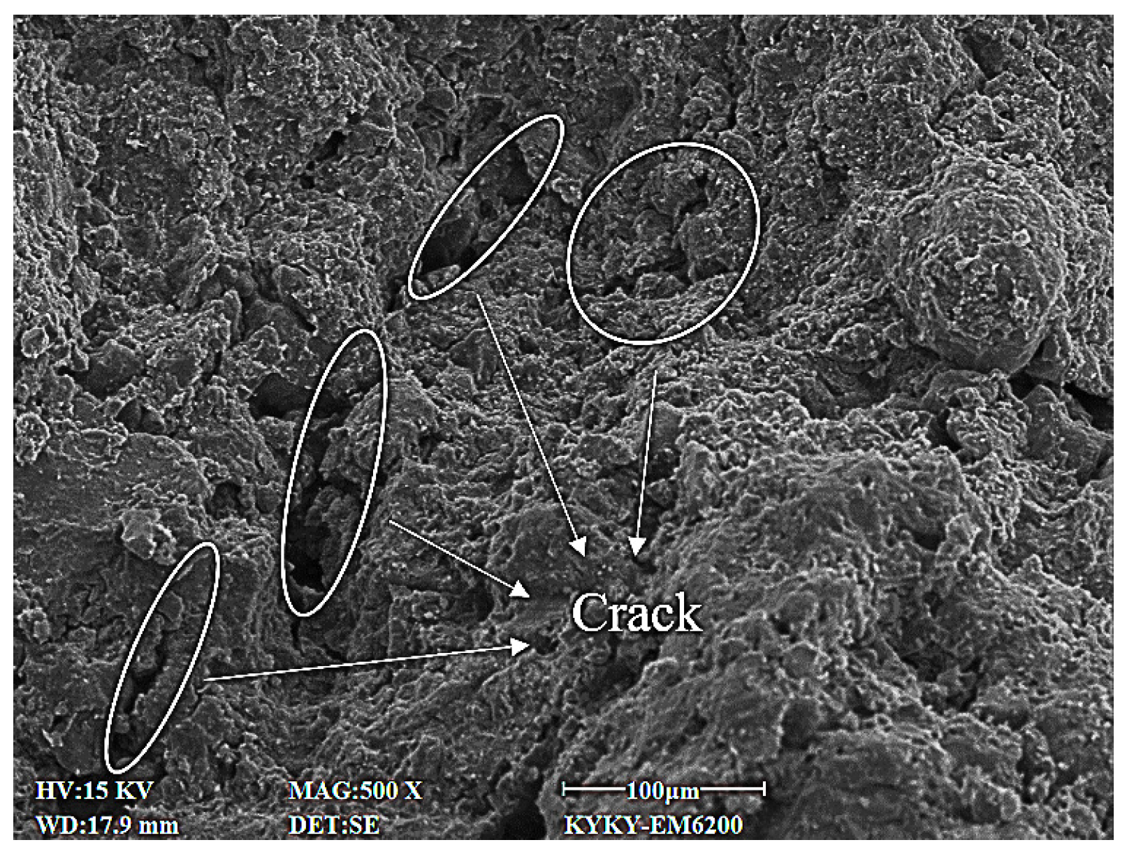 Sustainability 16 04551 g007