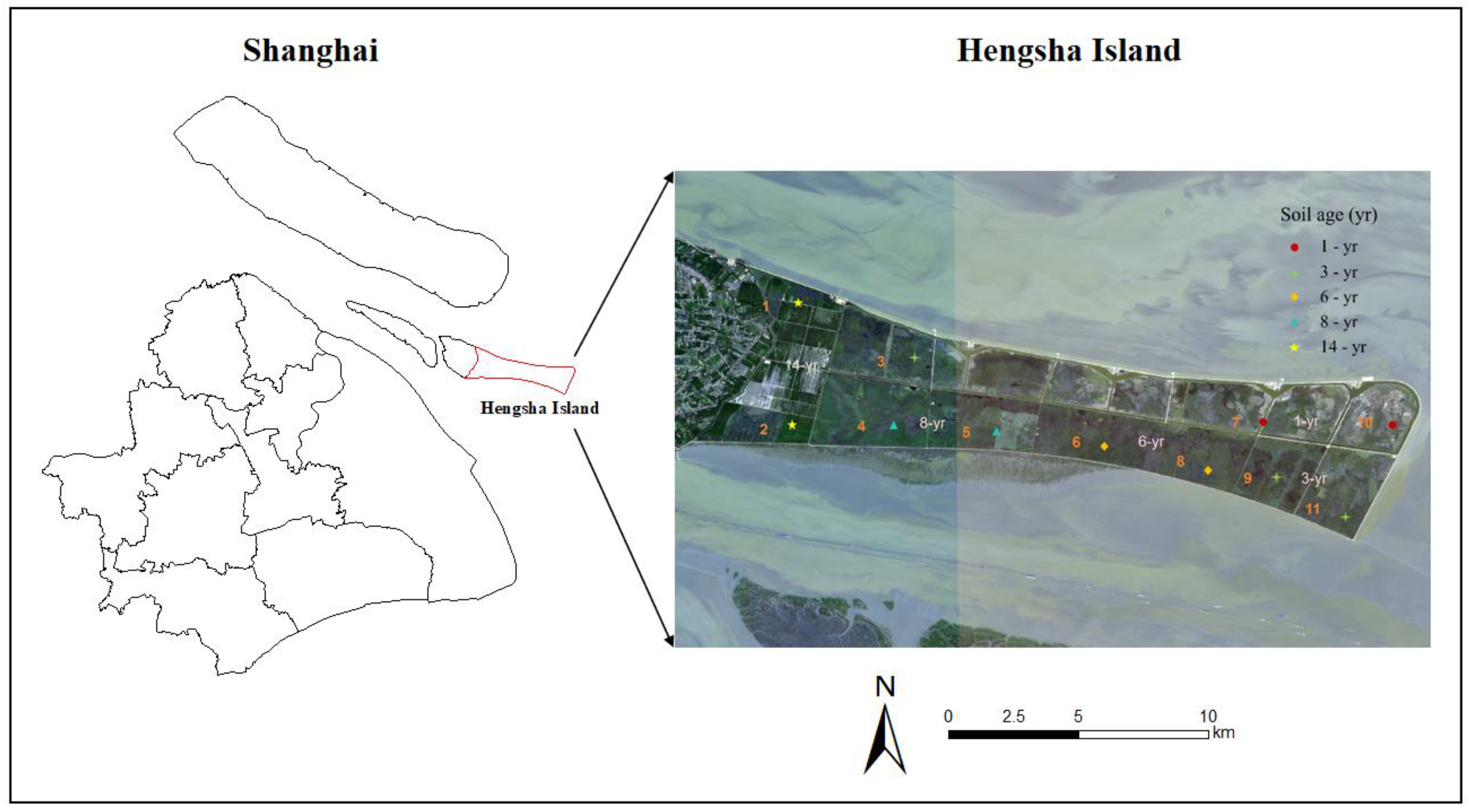 Sustainability | Free Full-Text | Chronosequence Changes of Soil ...