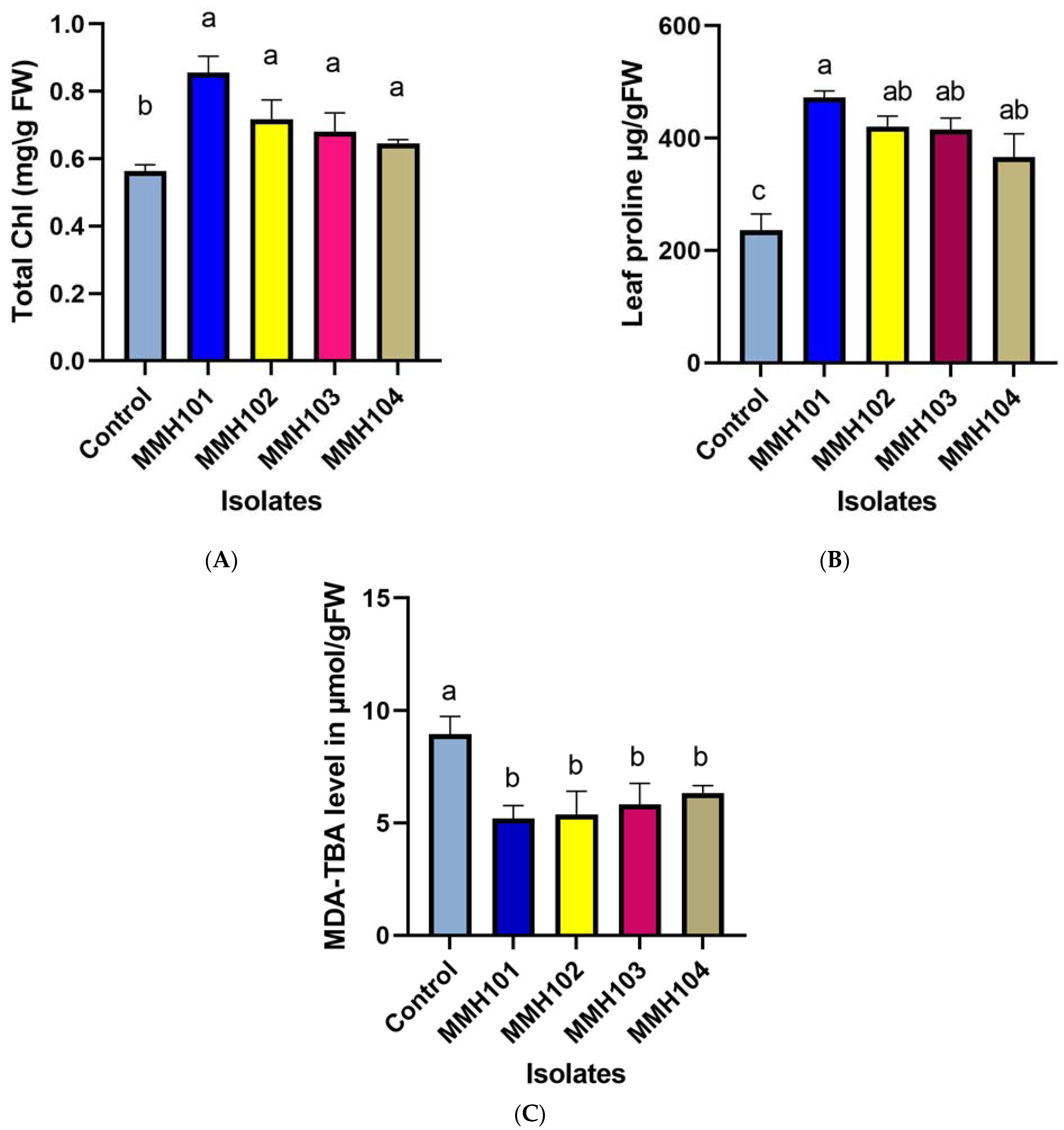 Sustainability 16 04605 g006