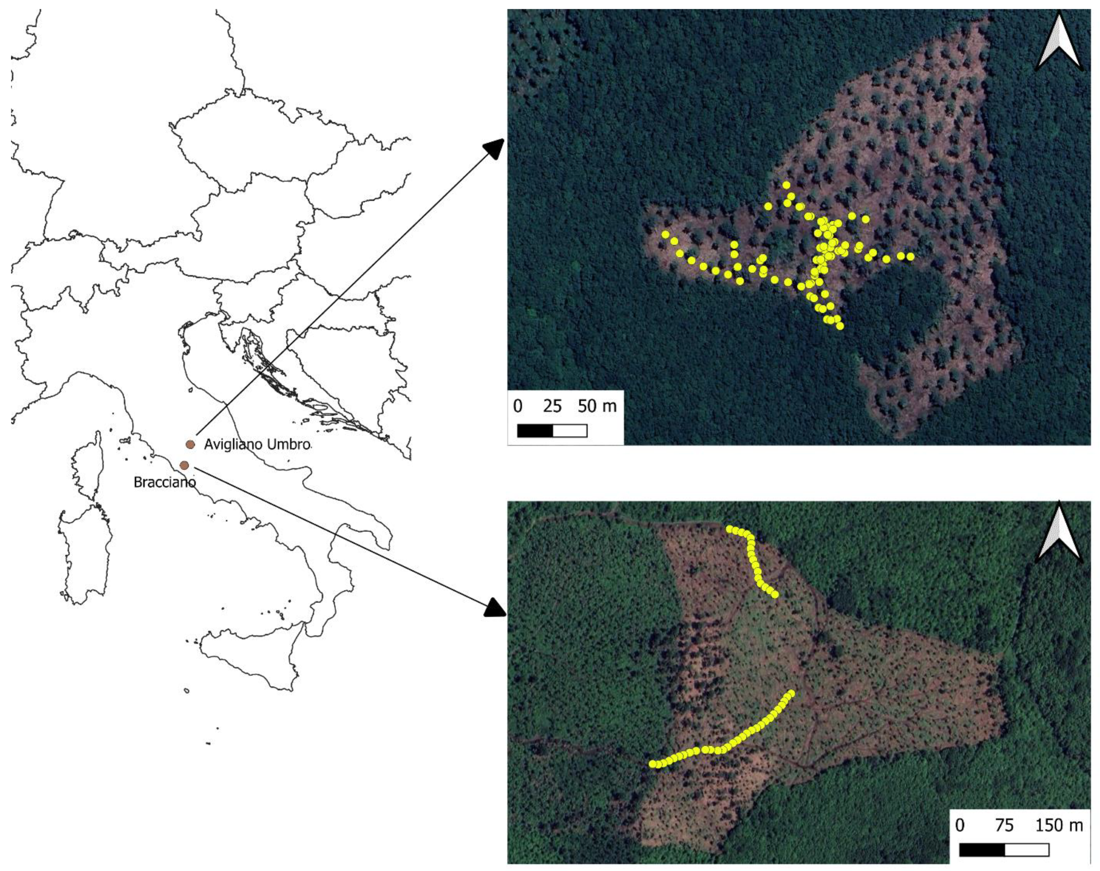 Sustainability 16 04629 g001