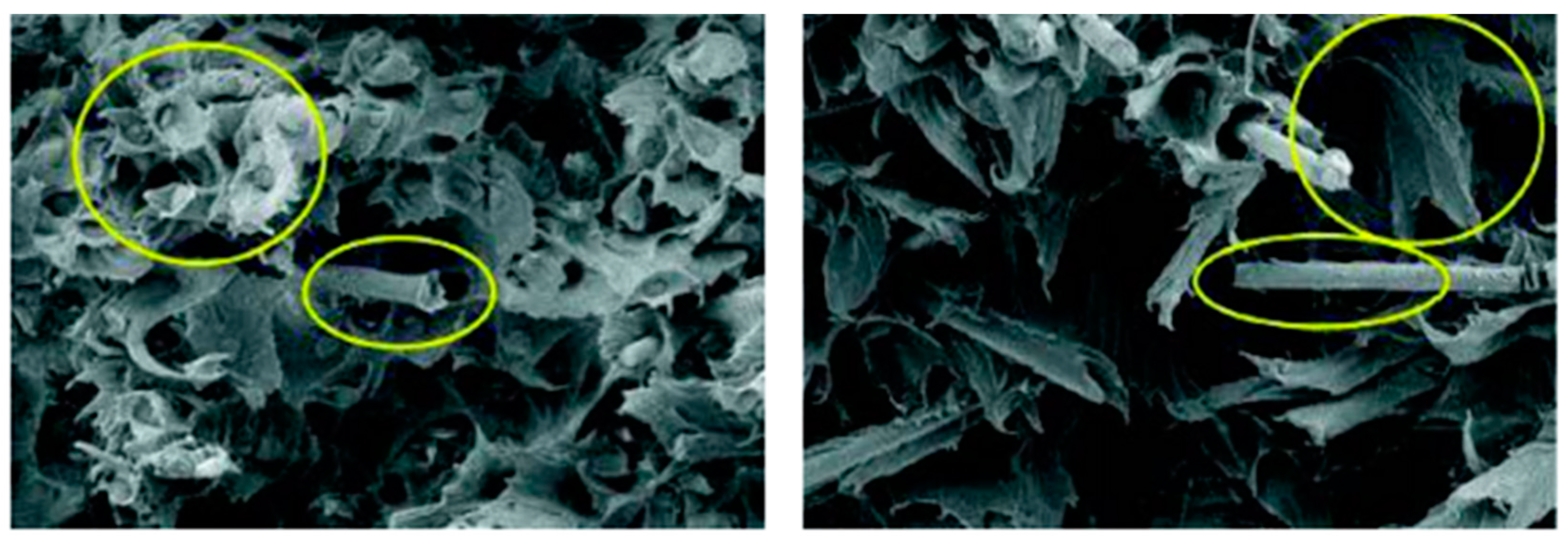 Sustainability 16 04632 g005