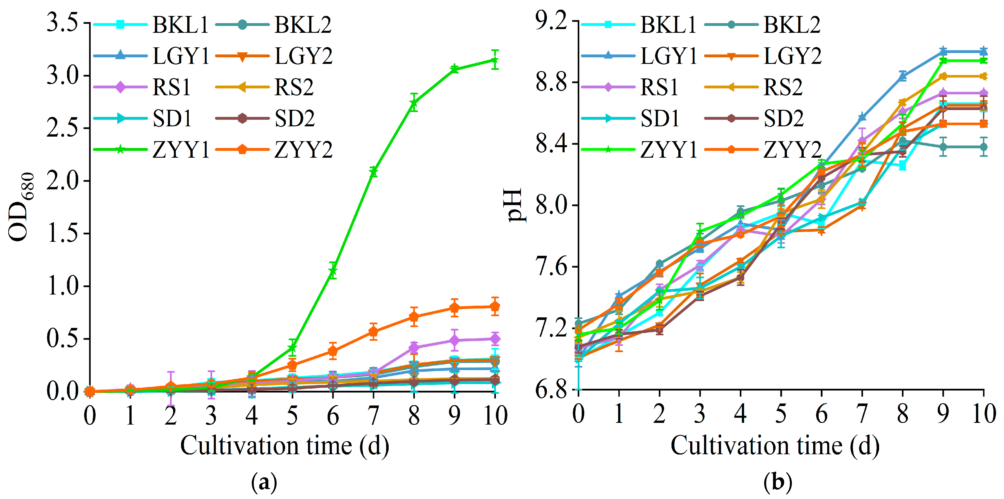 Sustainability 16 04633 g002