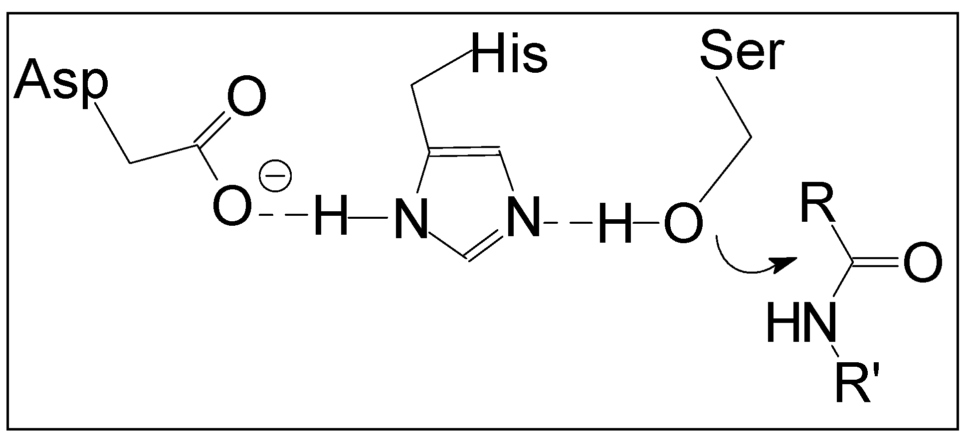 Sustainability 16 04661 g004