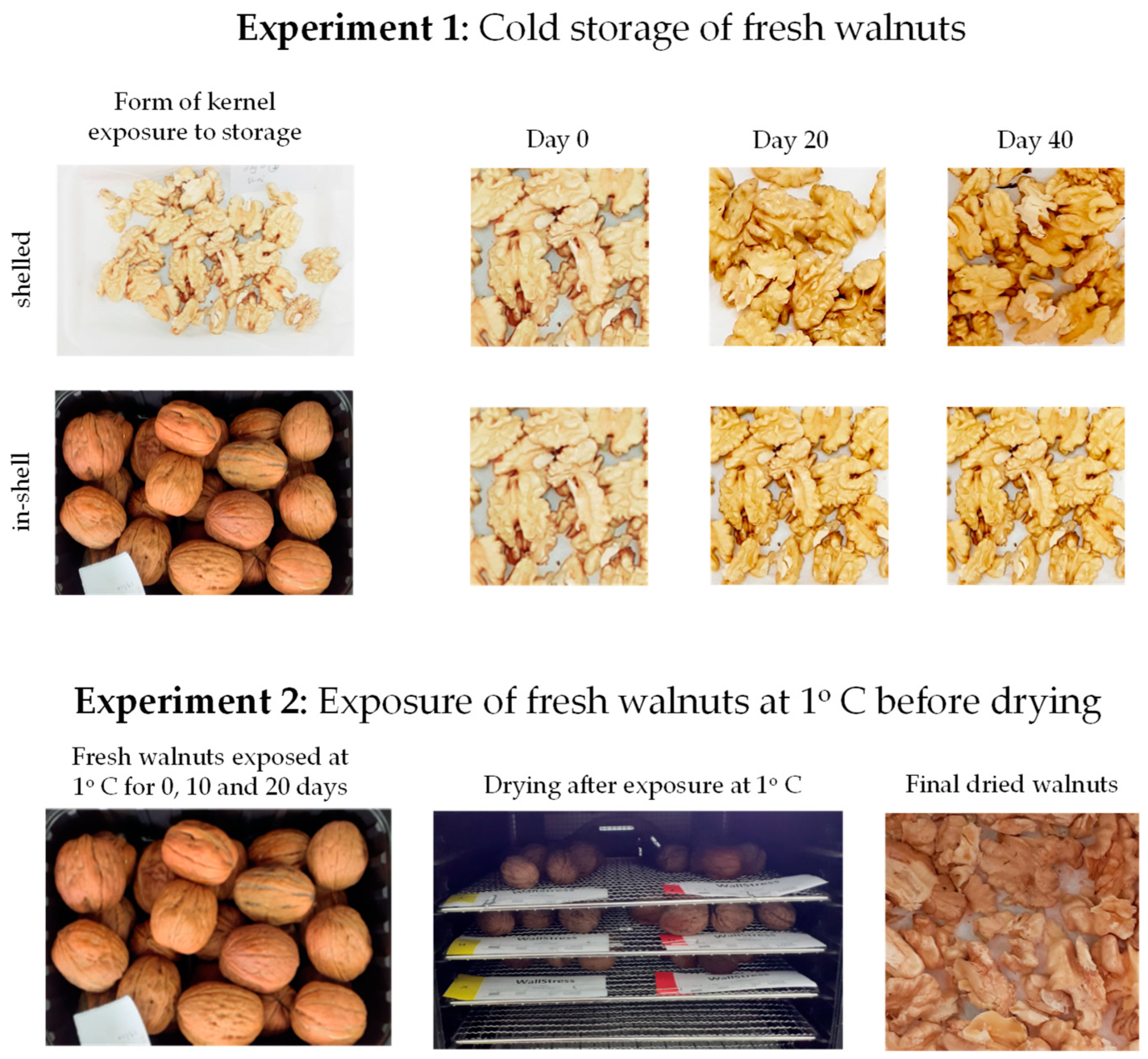Sustainability 16 04727 ch001