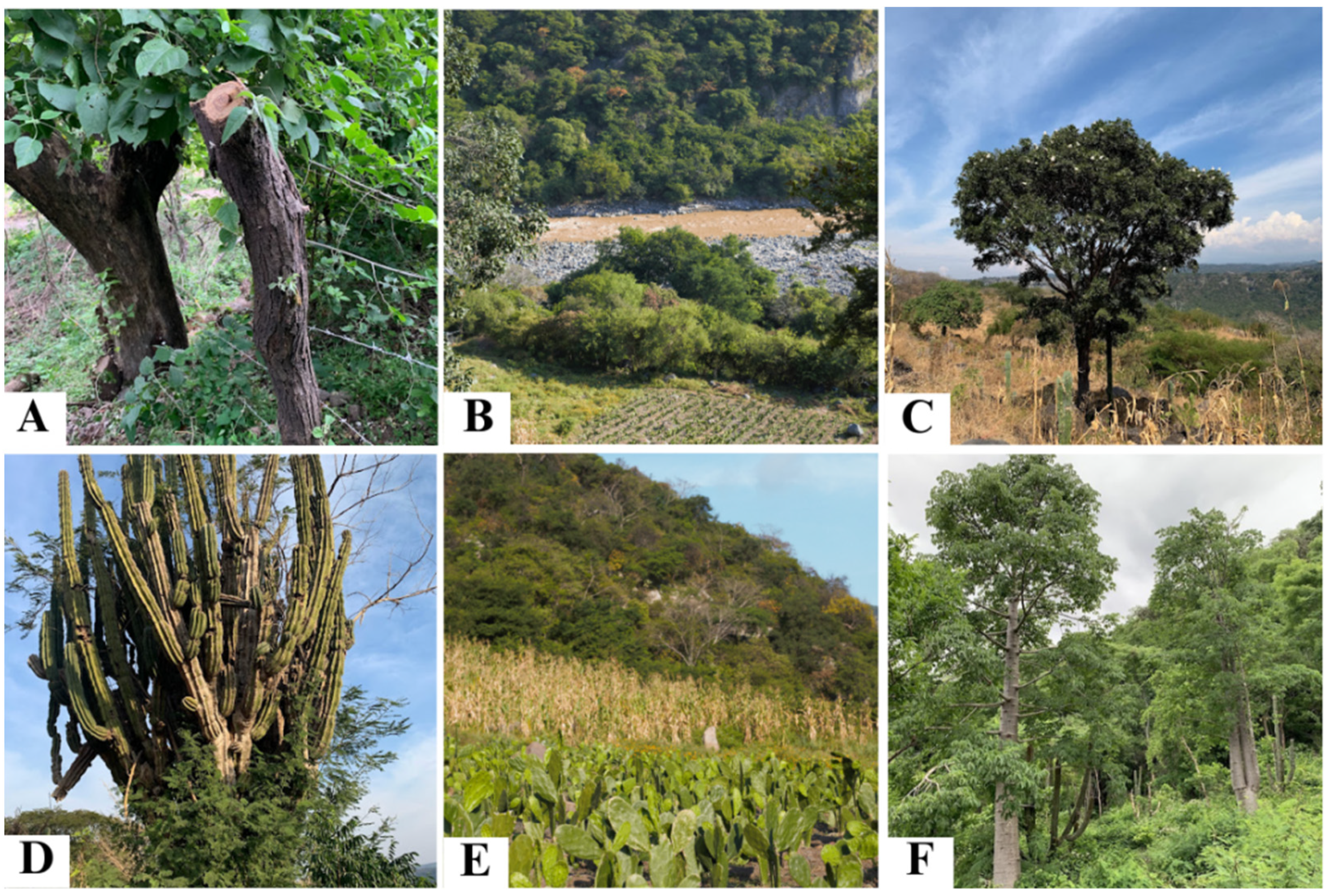 Sustainability 16 04760 g002