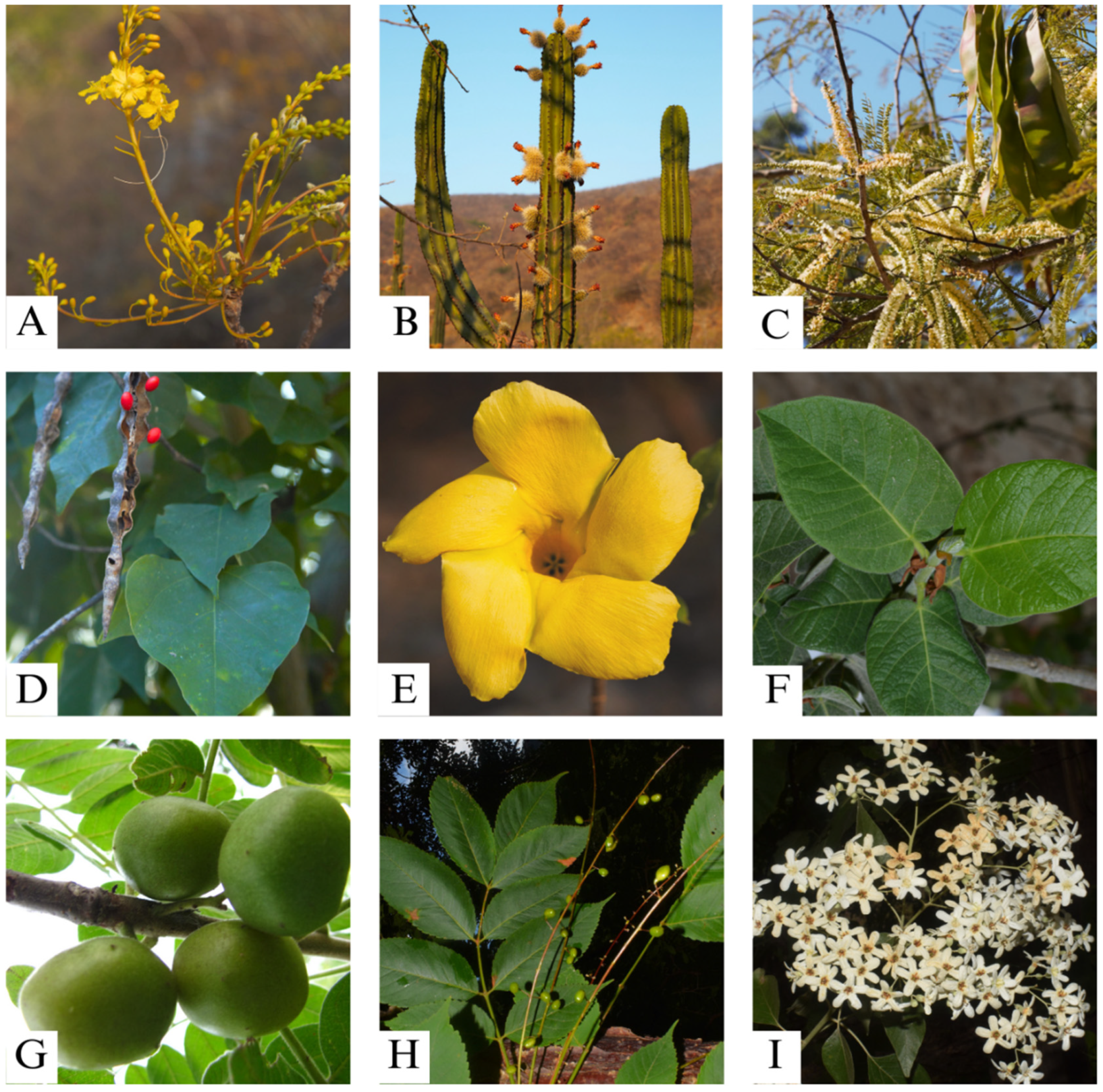 Sustainability 16 04760 g003