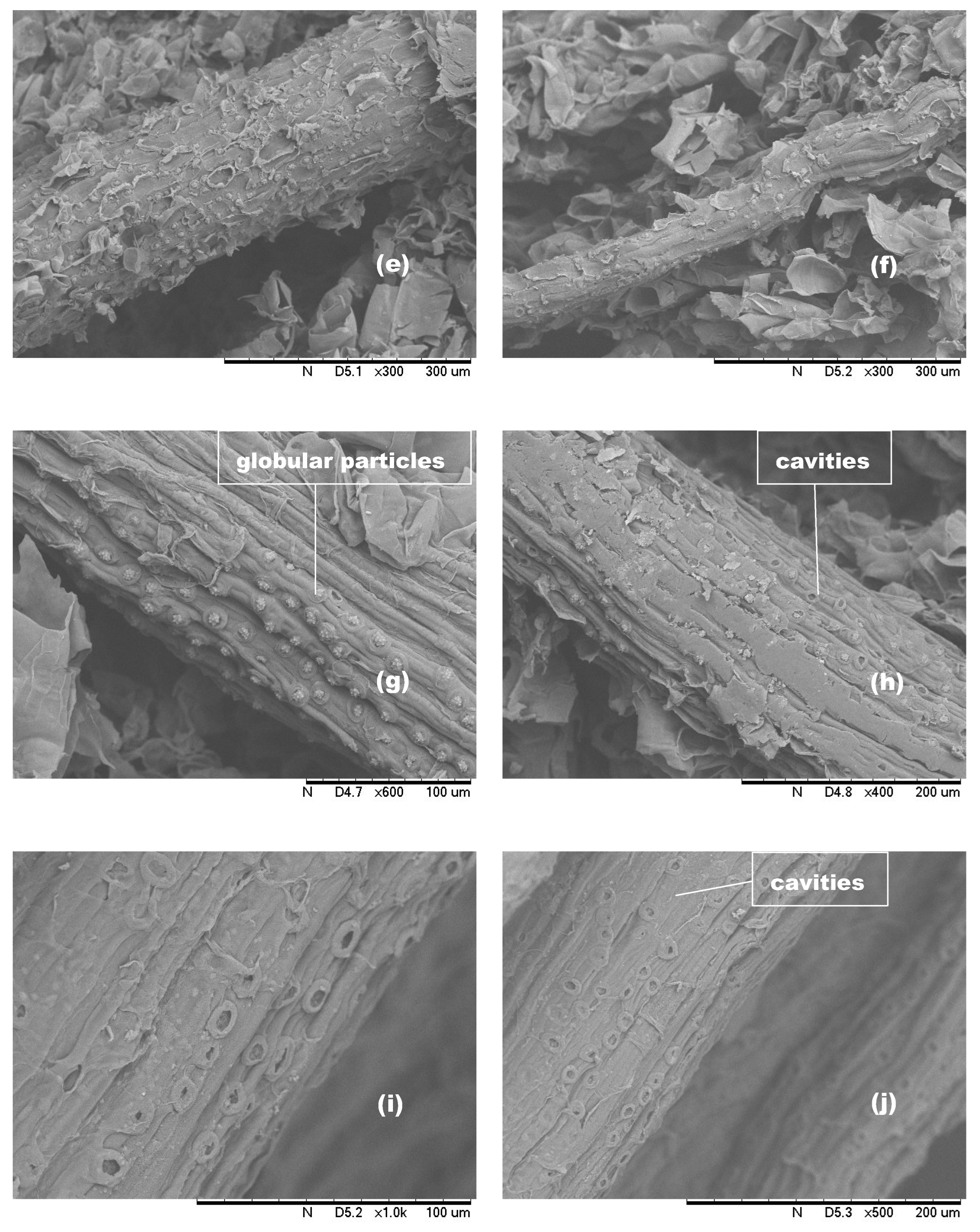 Sustainability 16 04784 g004b