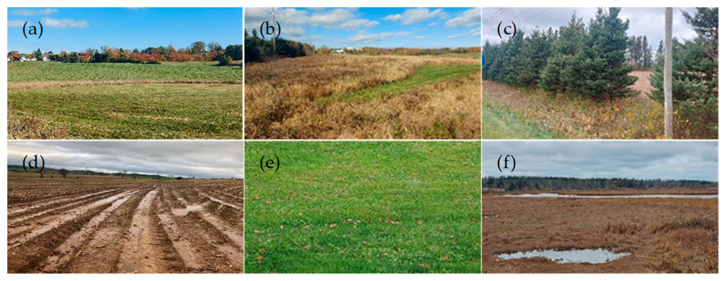 Sustainability 16 04789 g002