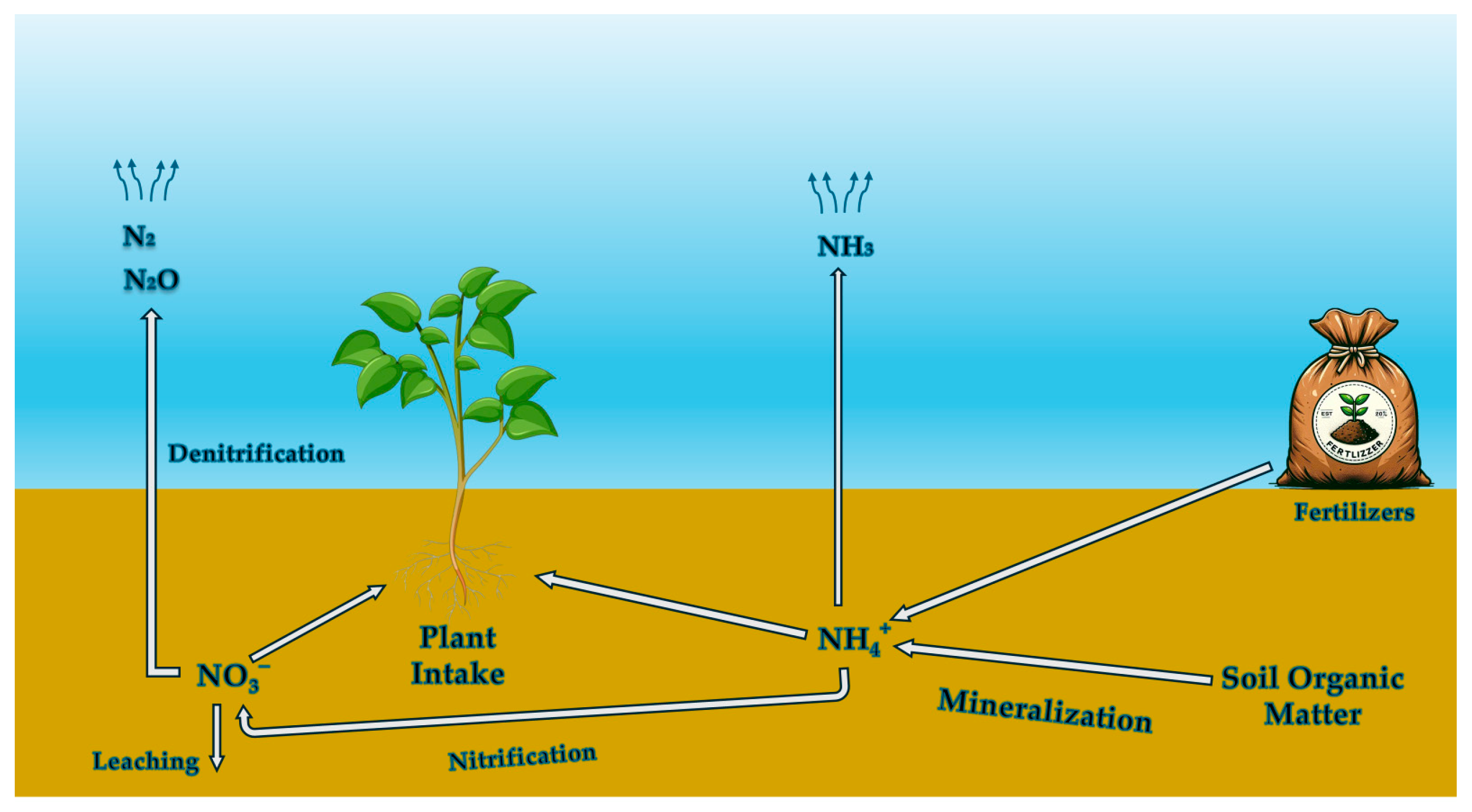Sustainability 16 04789 g003