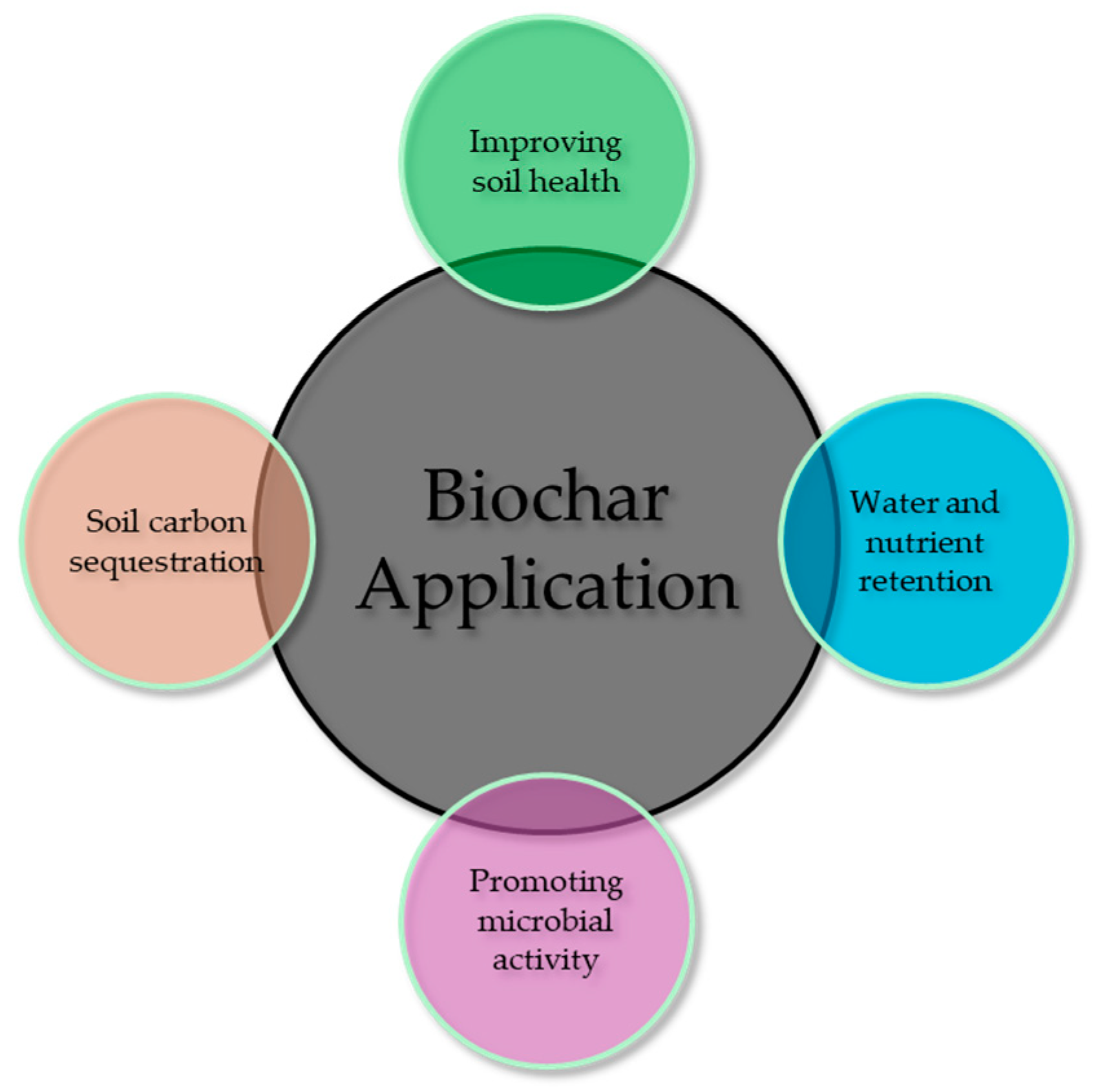 Sustainability 16 04789 g006