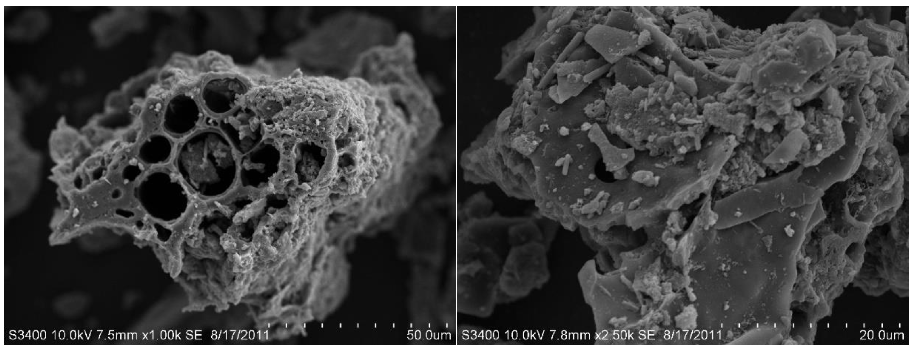 Sustainability 16 04794 g001