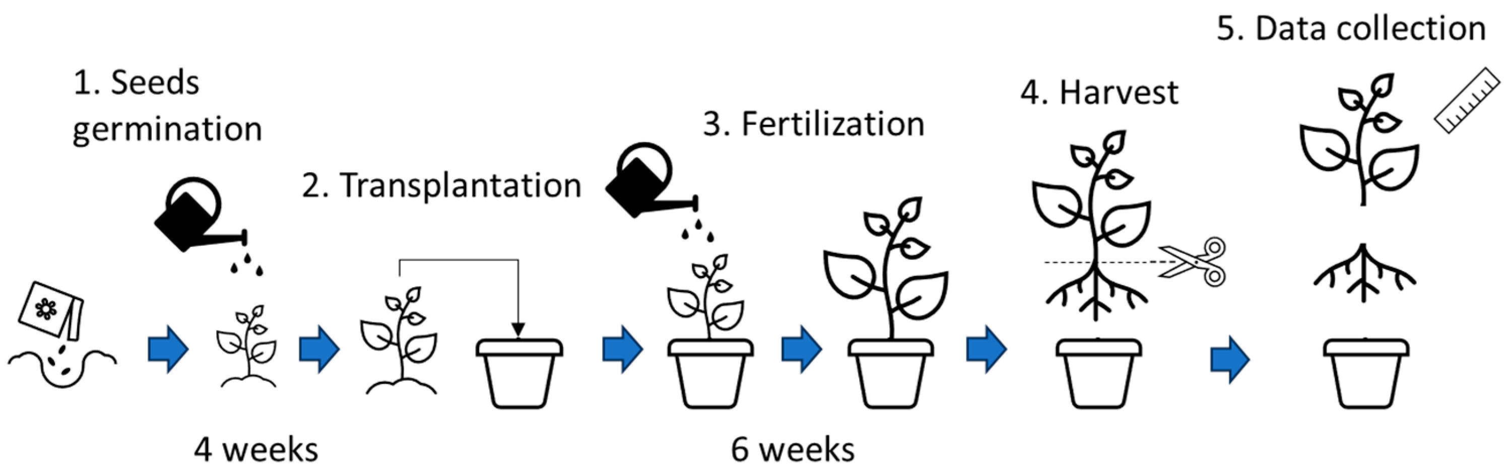 Sustainability 16 04800 g002