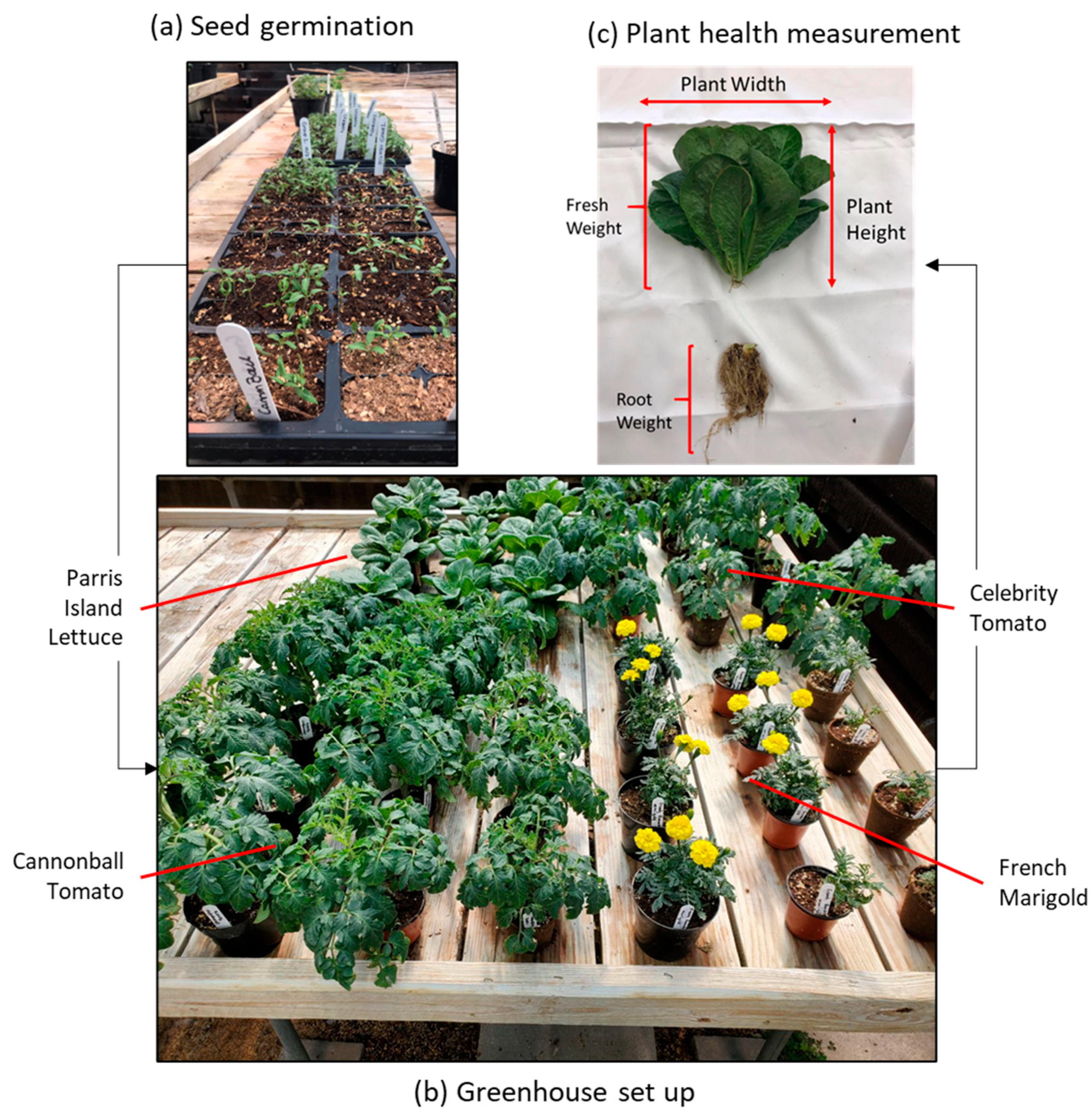 Sustainability 16 04800 g003
