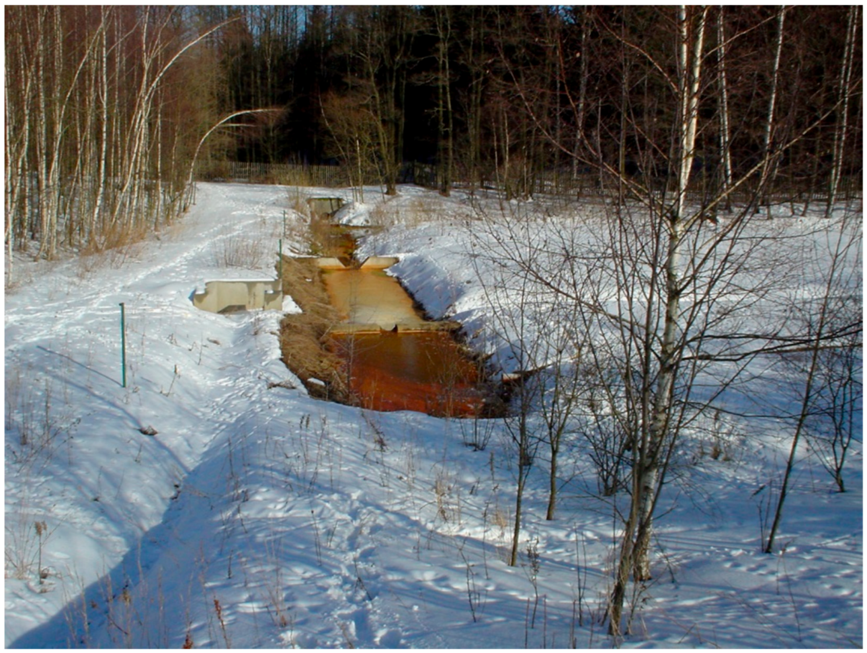 Sustainability 16 04802 g001