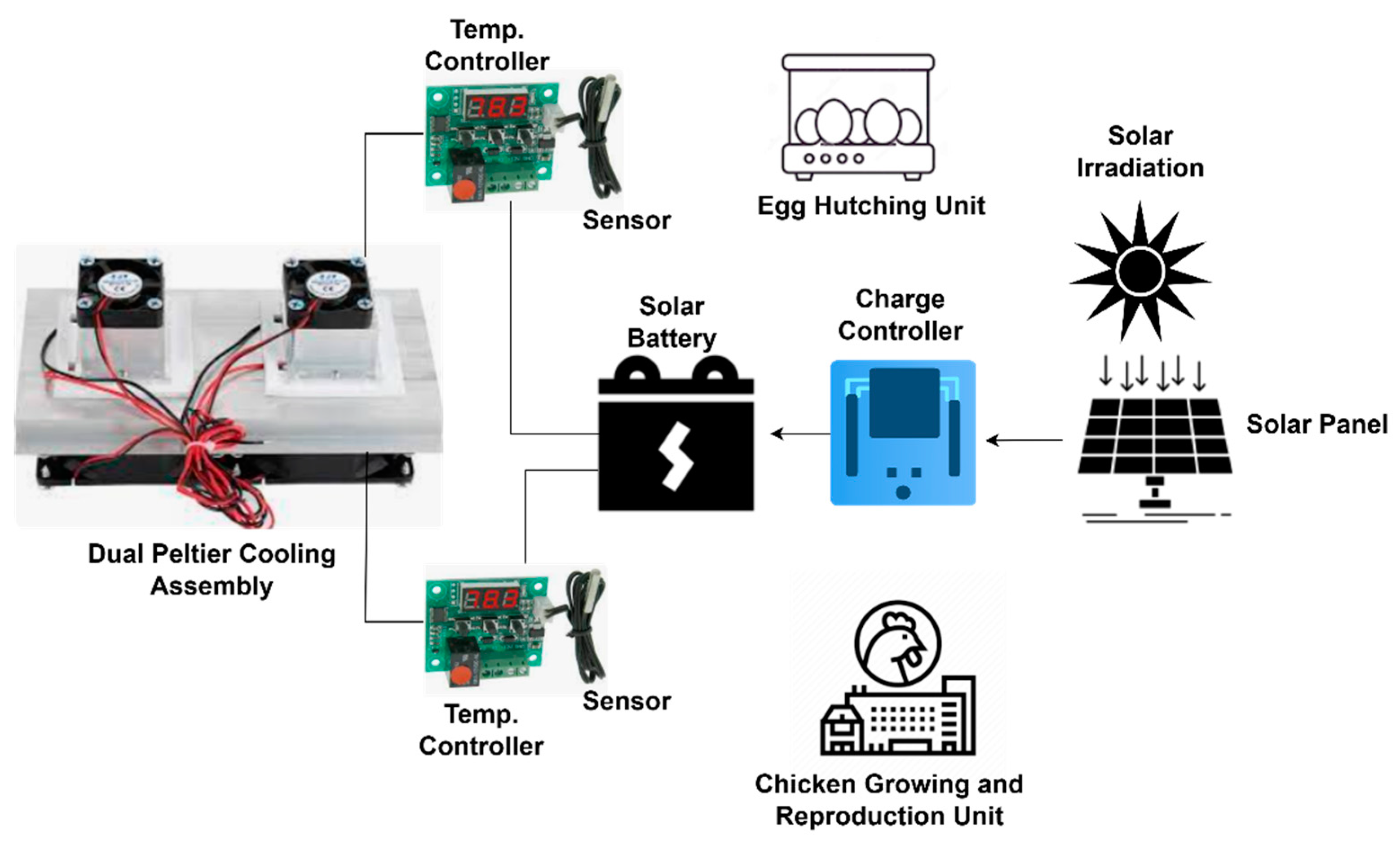 Sustainability 16 04832 g007