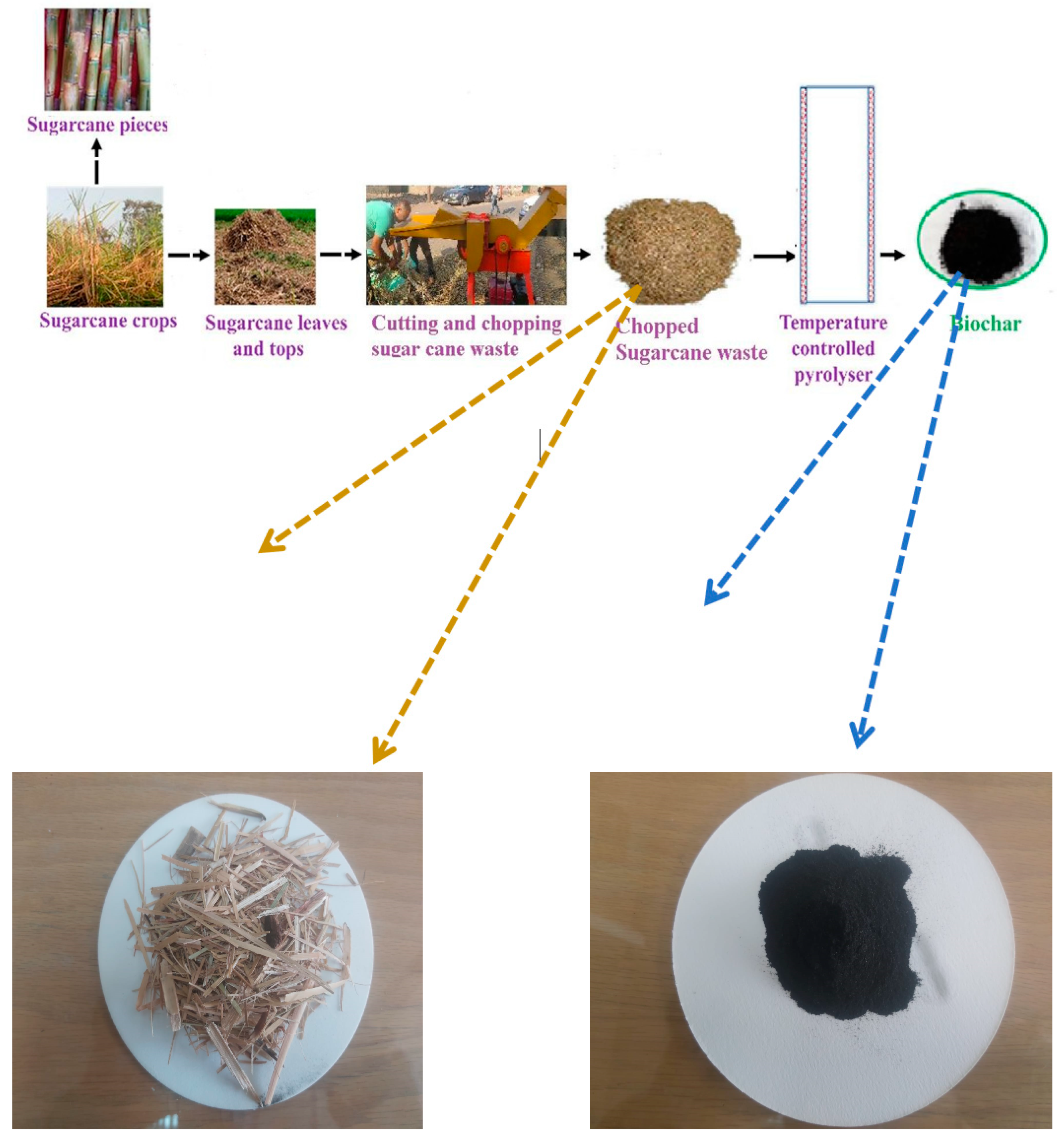 Sustainability 16 04856 g002 Sustainability 16 04856 g002