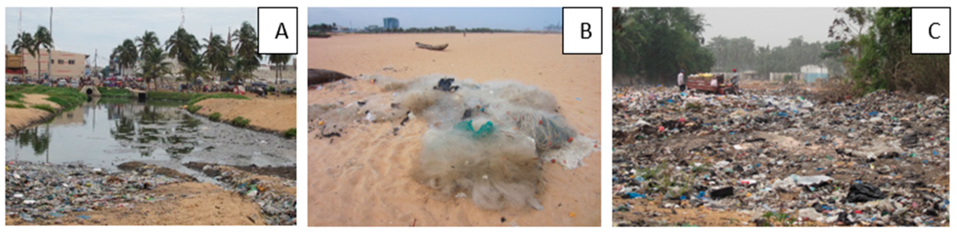 Sustainability 16 04968 g006