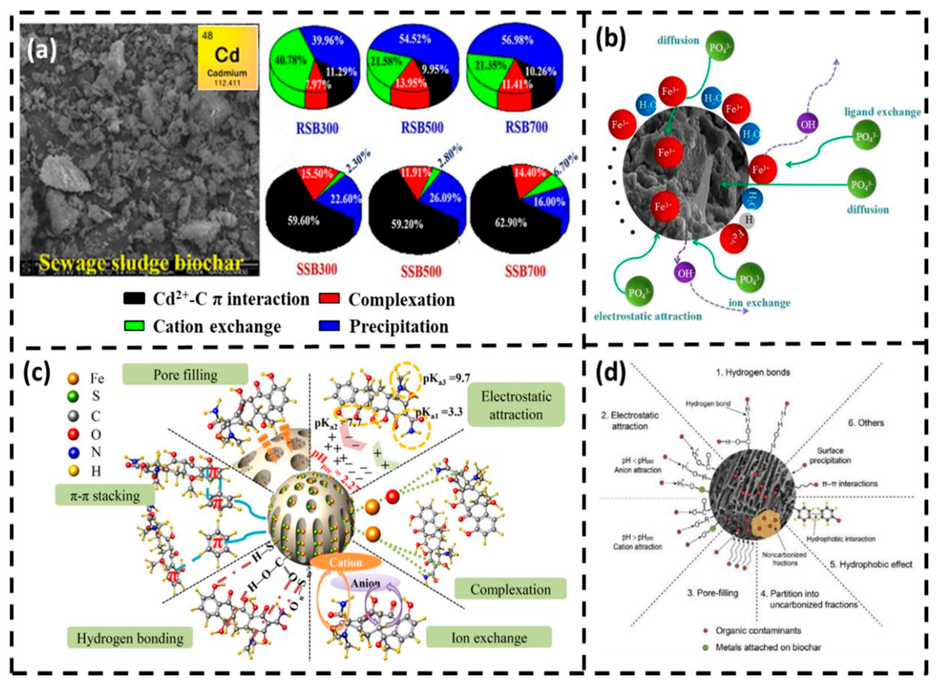 Sustainability 16 05012 g002