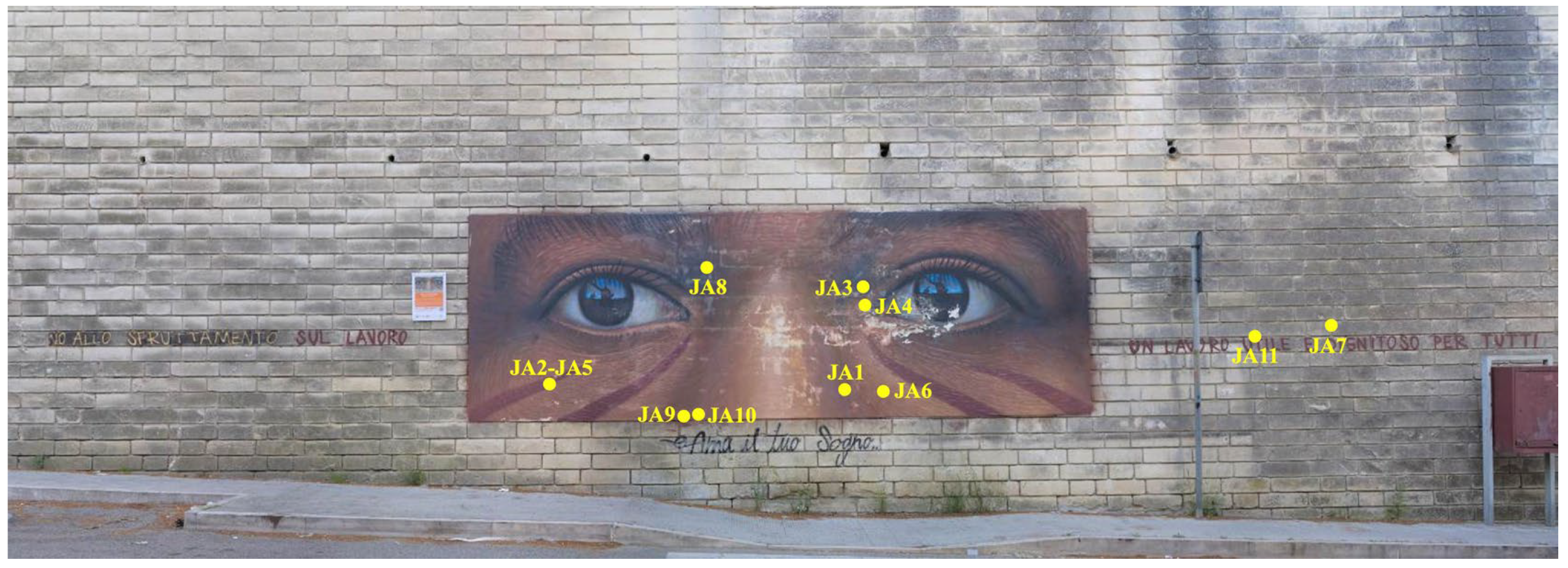 Sustainability 16 05069 g001