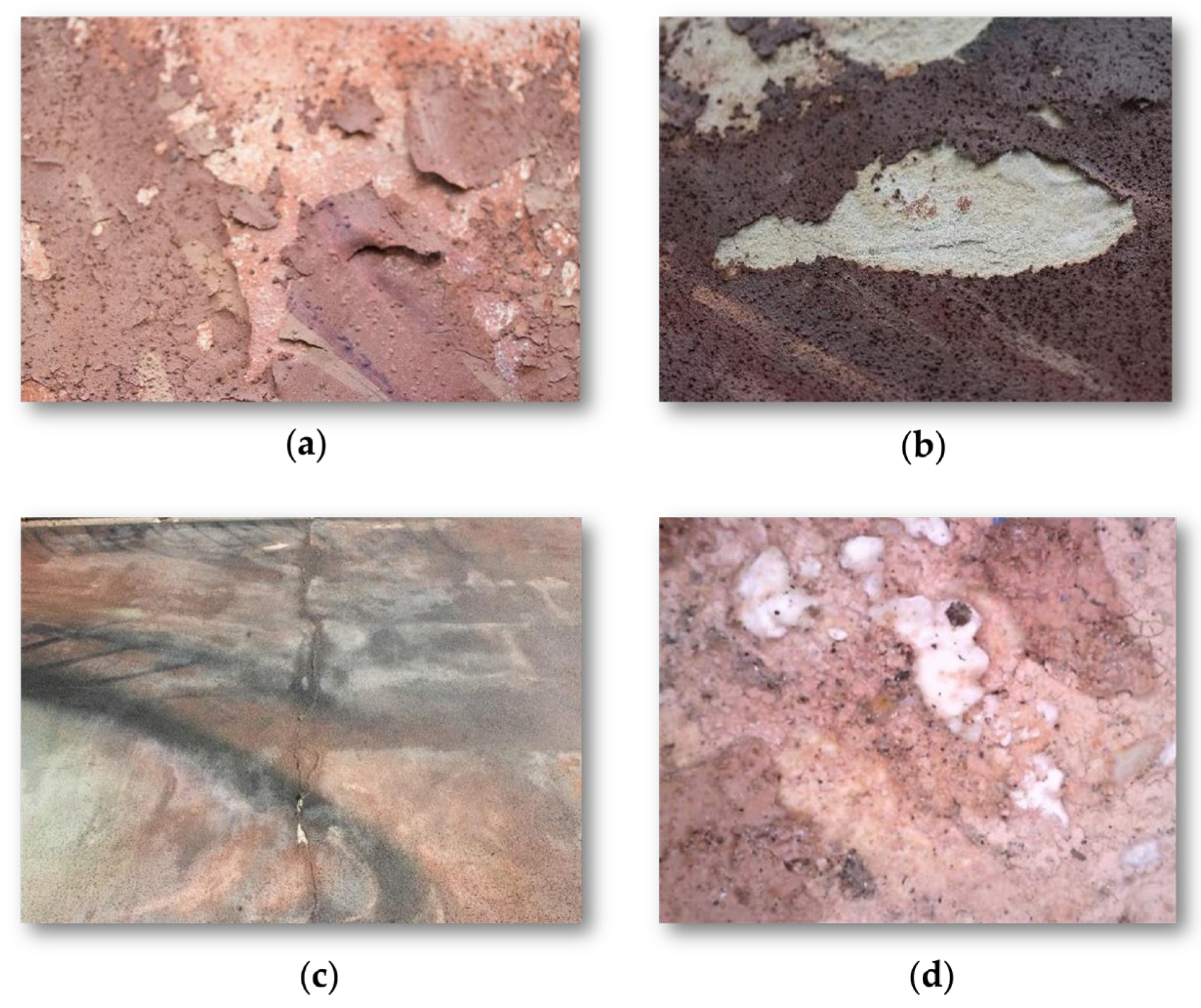 Sustainability 16 05069 g002