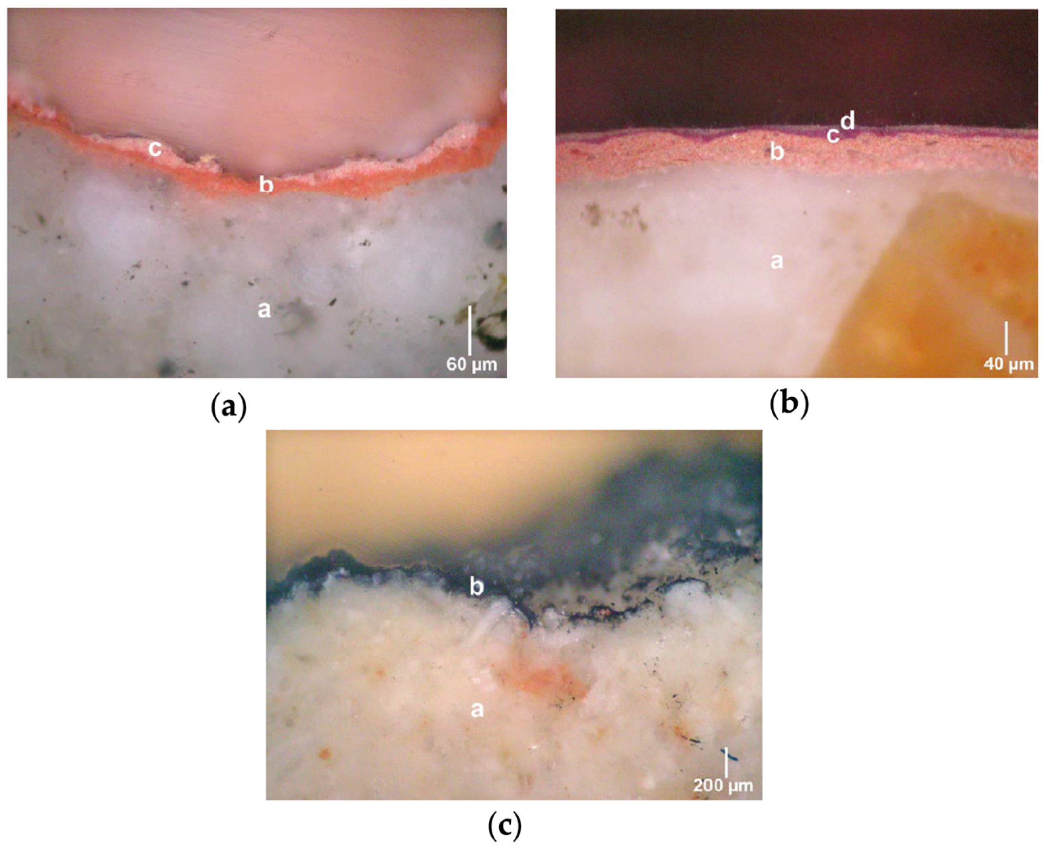 Sustainability 16 05069 g003