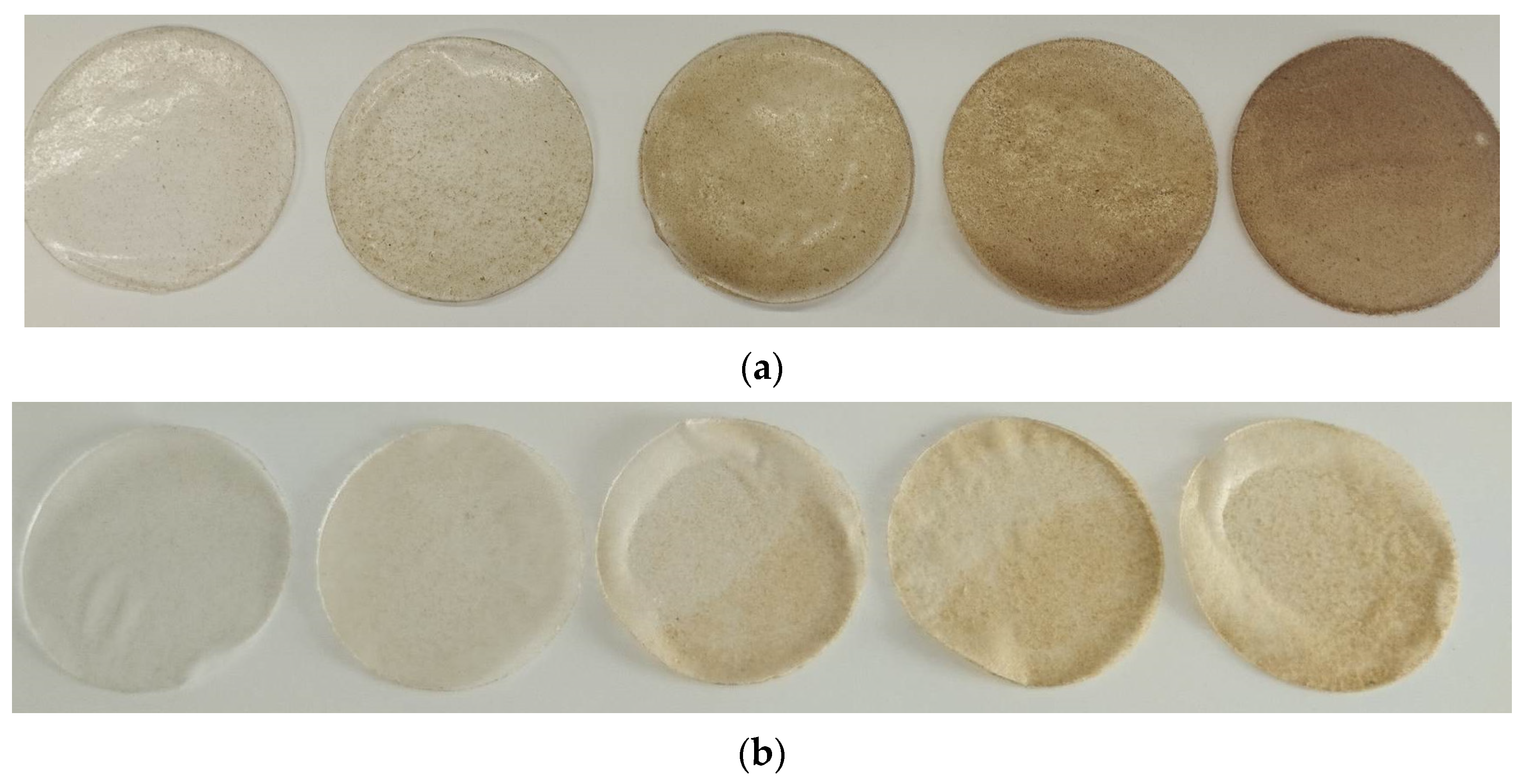 Sustainability 16 05075 g002