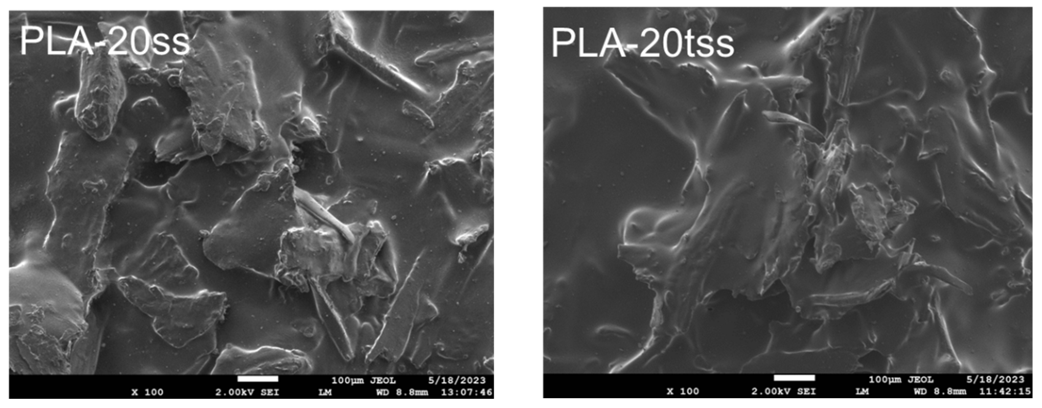 Sustainability 16 05075 g006b