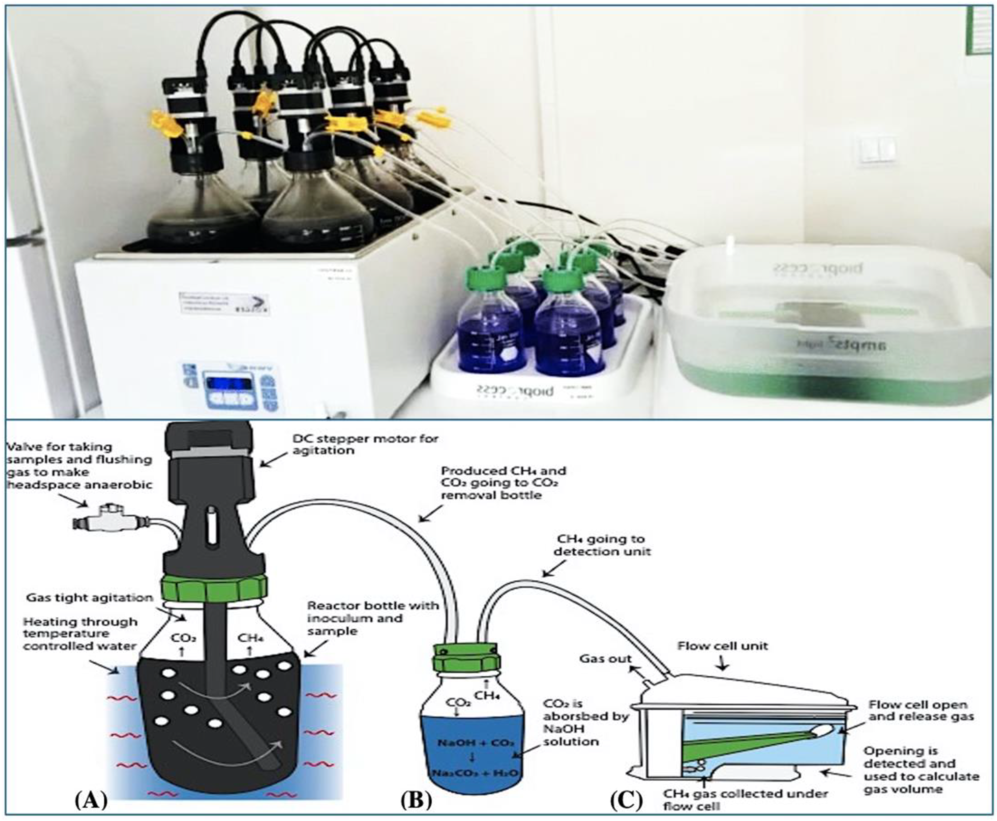 Sustainability 16 05101 g001