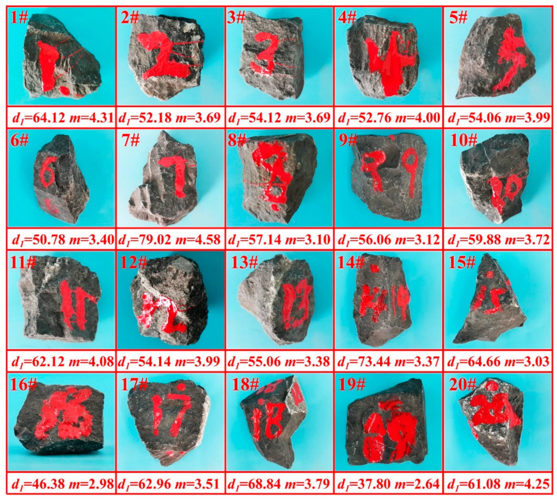 Sustainability 16 05155 g001