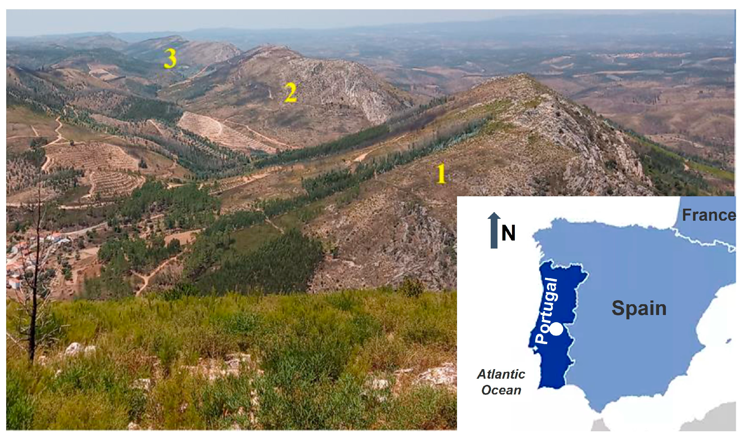 Sustainability 16 05179 g001