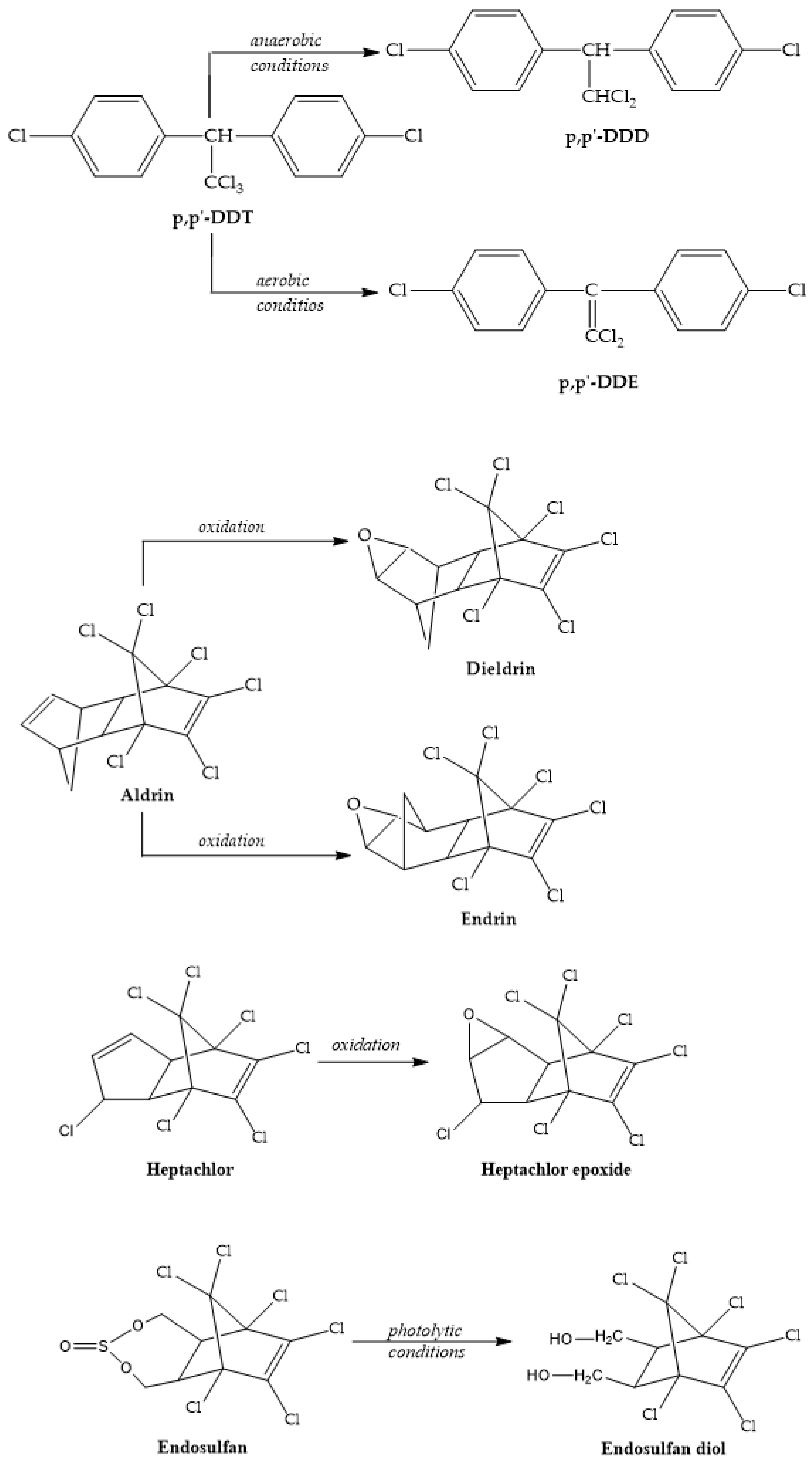 Sustainability 16 05293 g005
