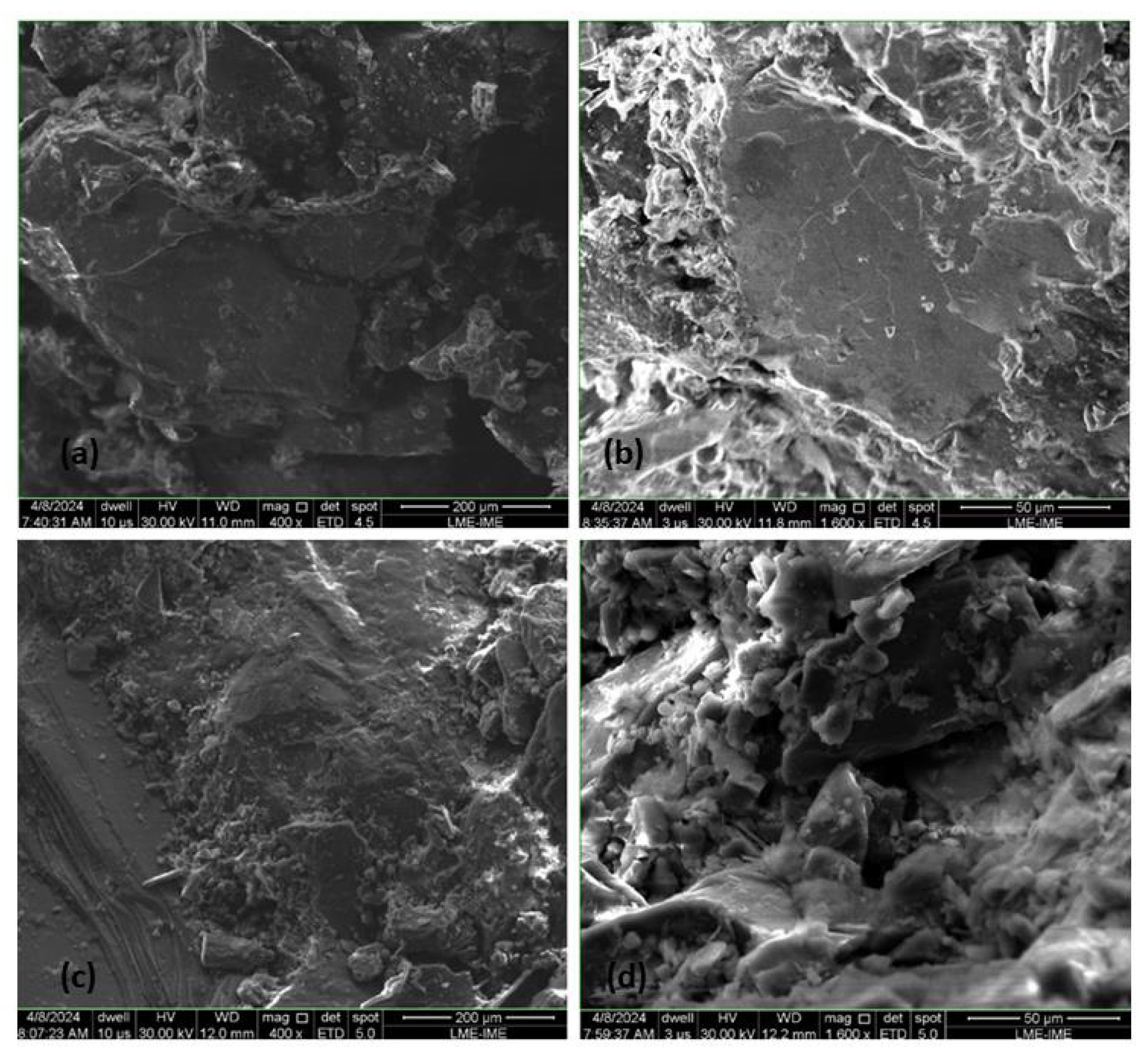 Sustainability 16 05335 g005