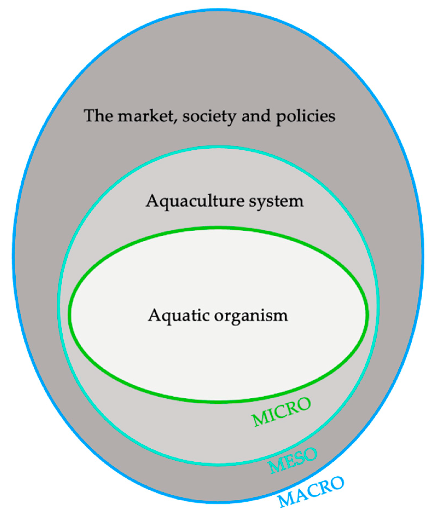 Sustainability 16 05405 g002